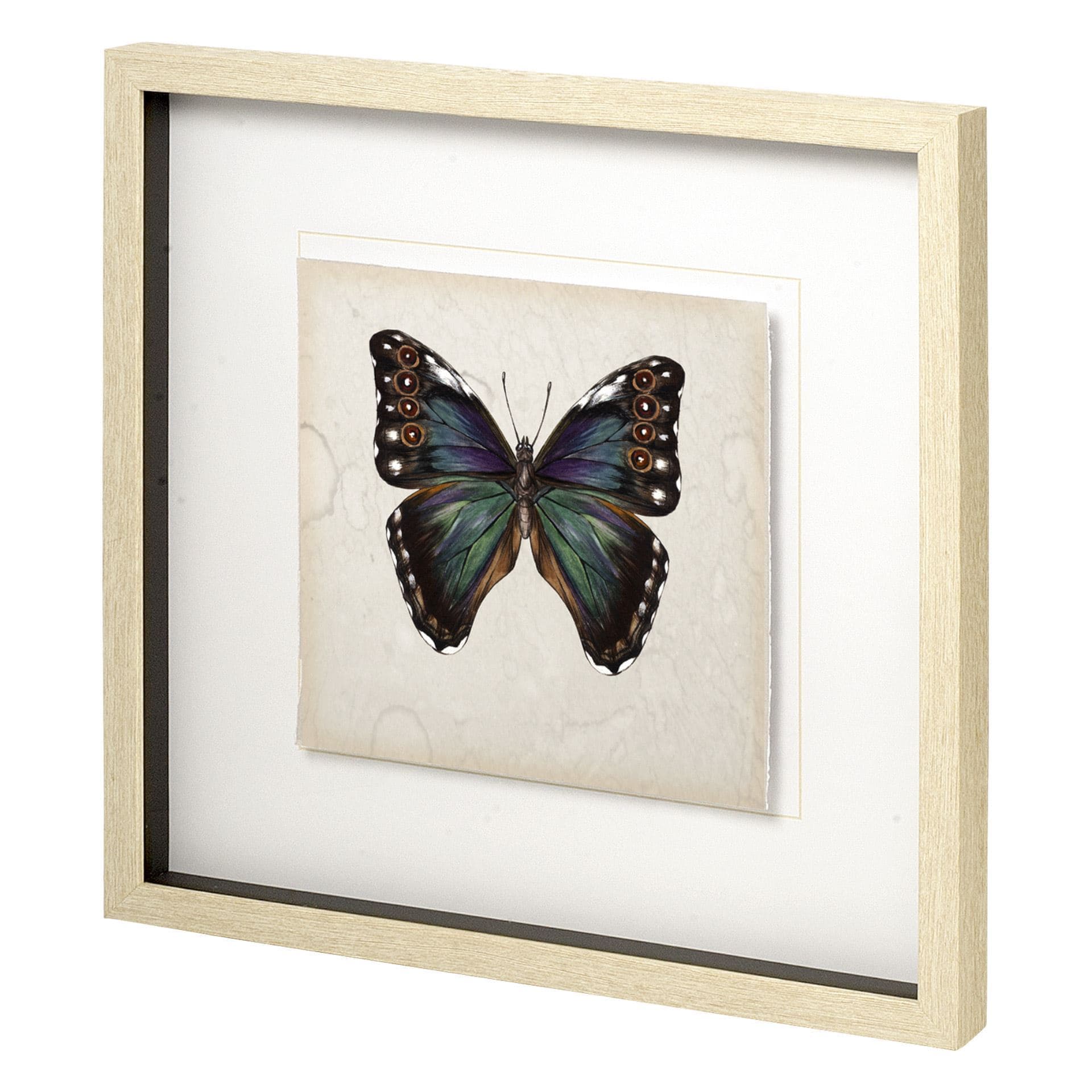 Butterfly Study III by Melissa Wang a Hand Embellished Textured Framed Art Print Matted under Glass — product photograph