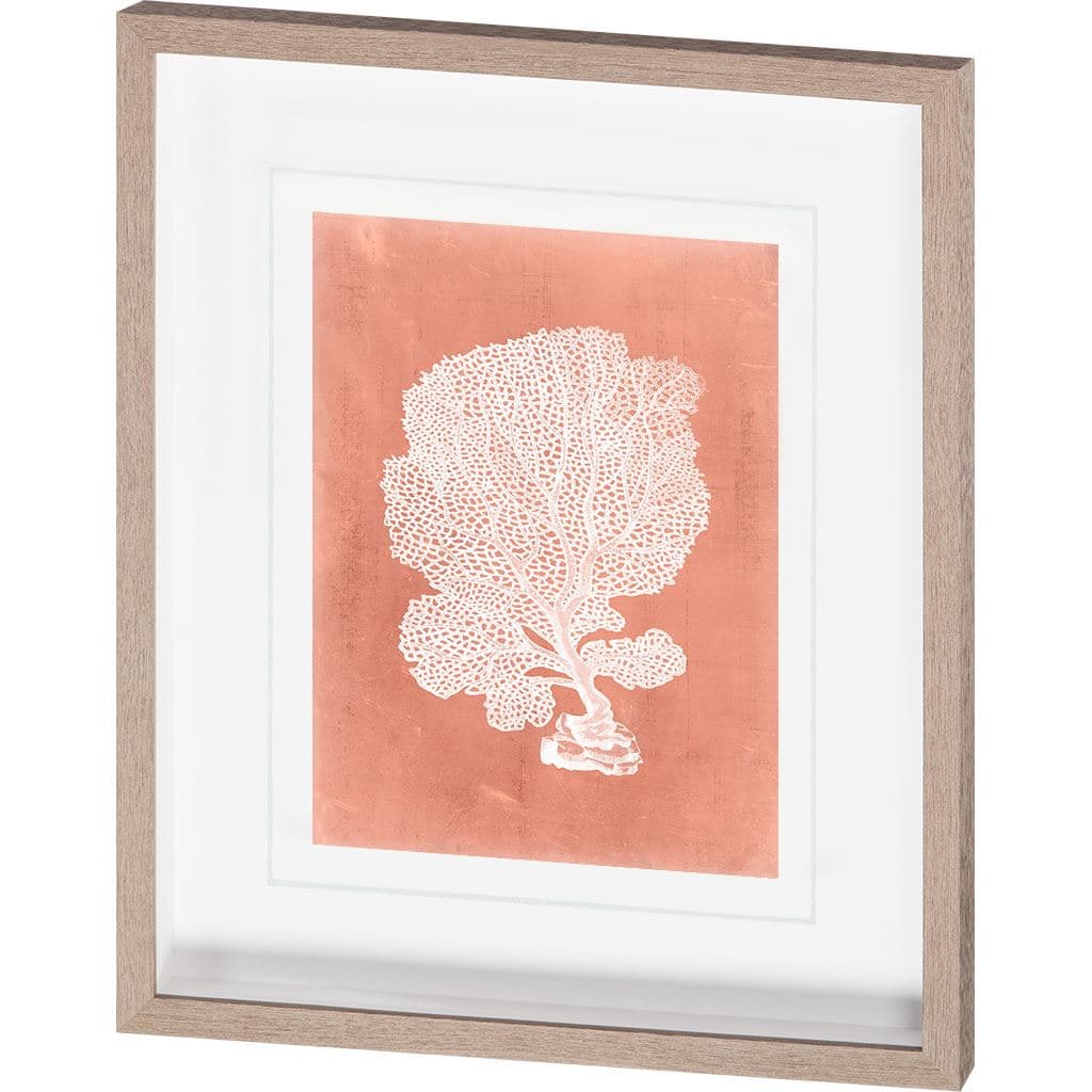 Sealife on Coral VIII by Vision Studio Hand Embellished Textured Framed Art Print Matted under Glass — product photograph