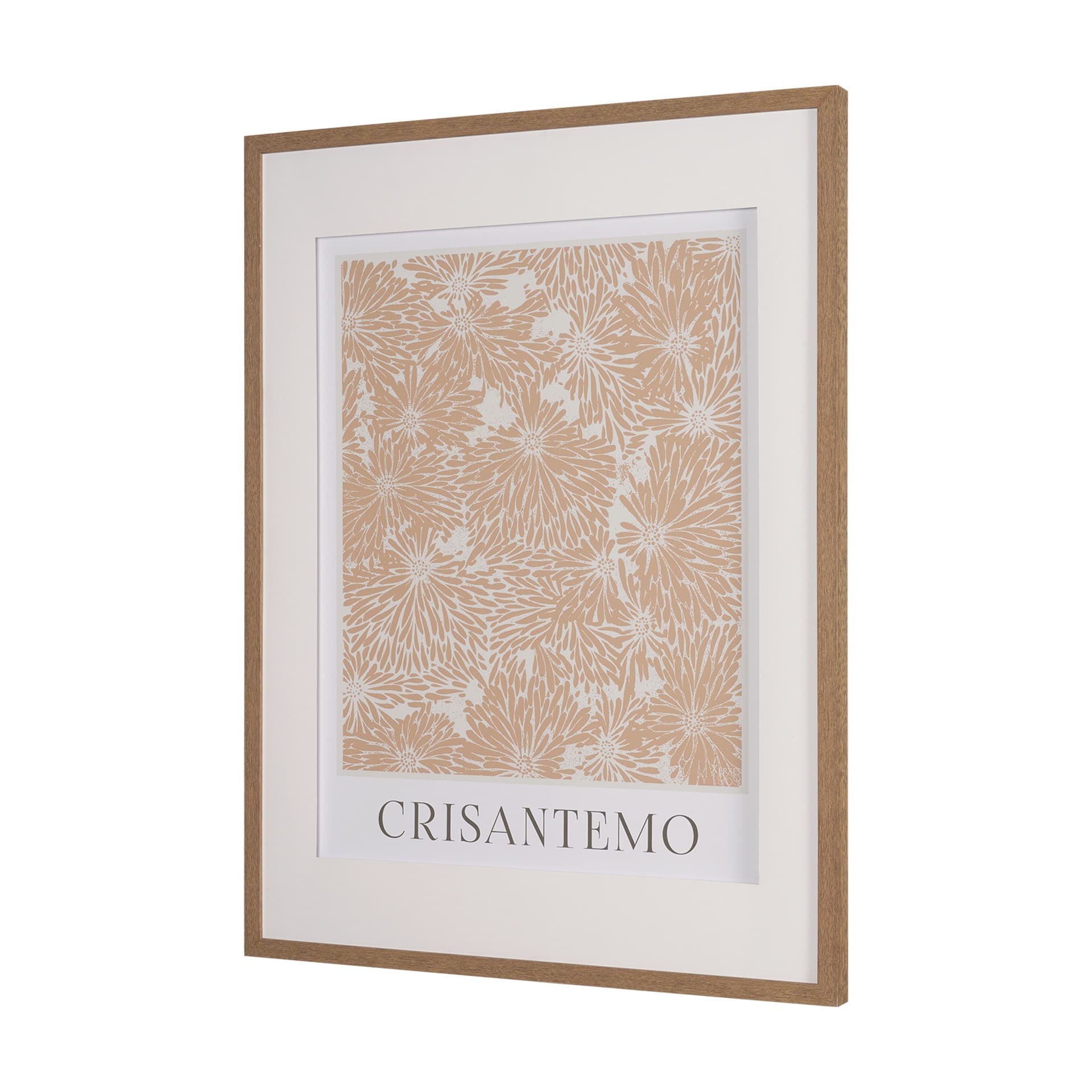 Belleza En Flores III by Mercana Studio a Framed Art Print Matted under Glass — product photograph