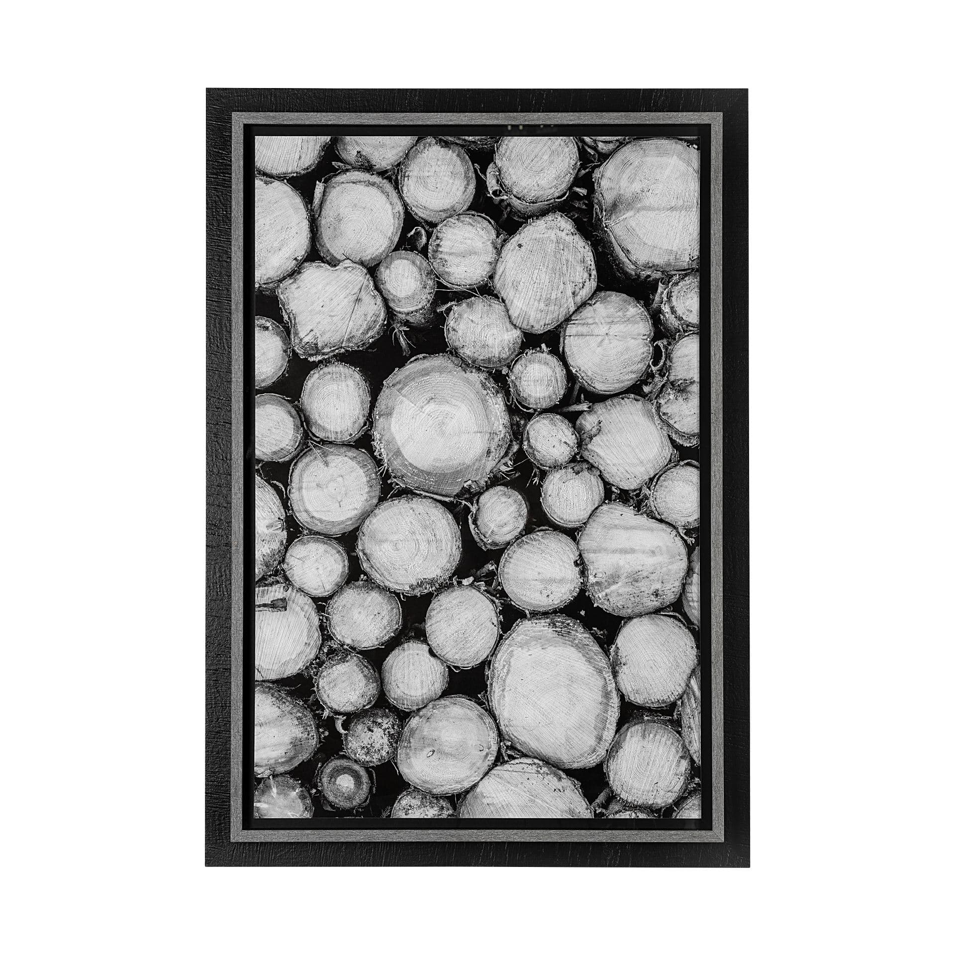 Timber Focus by Assaf Frank a Framed Photo Art Print Matted under Glass — product photograph