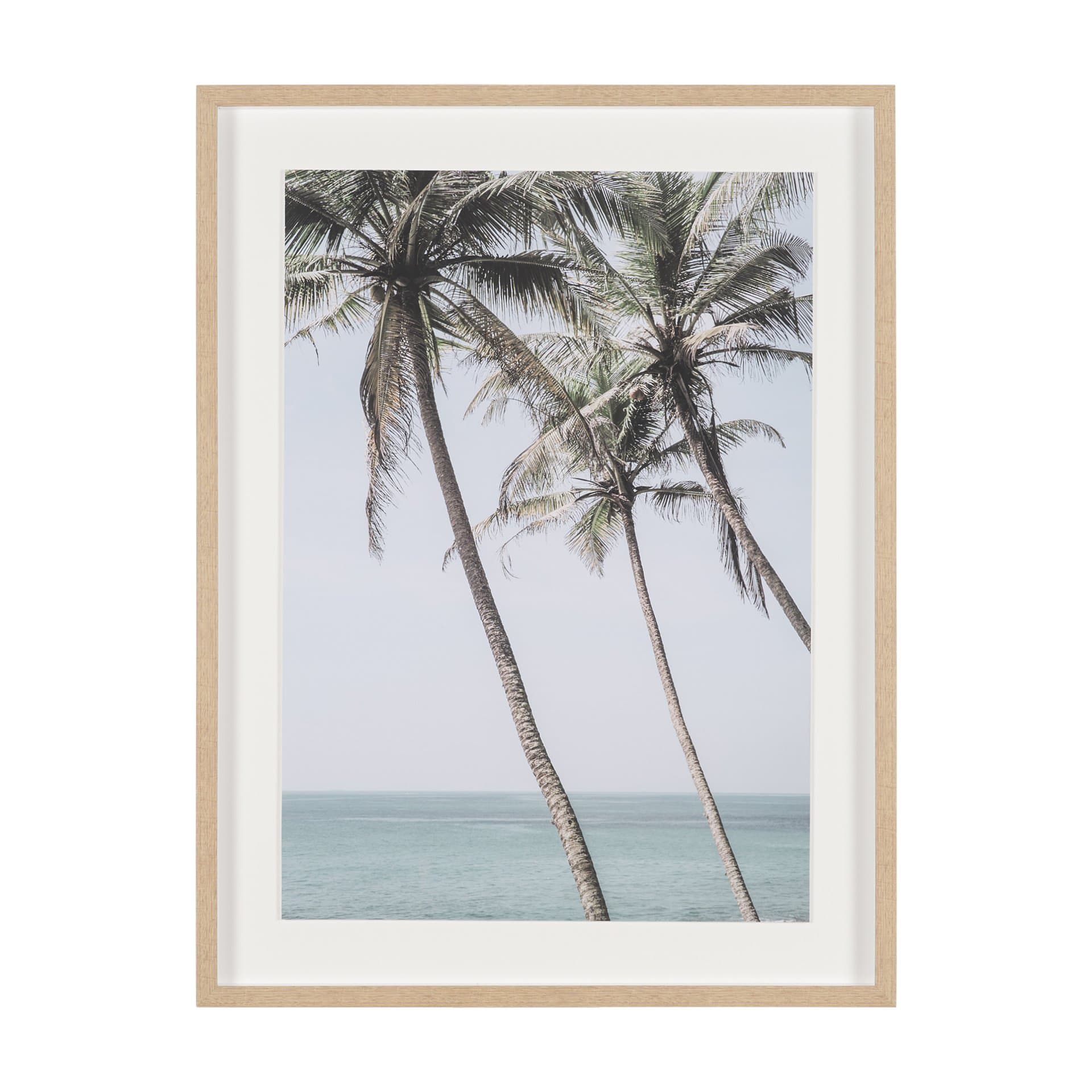 Ocean Breeze Palms by Shot By Clint Framed Photo Print Matted under Glass — product photograph