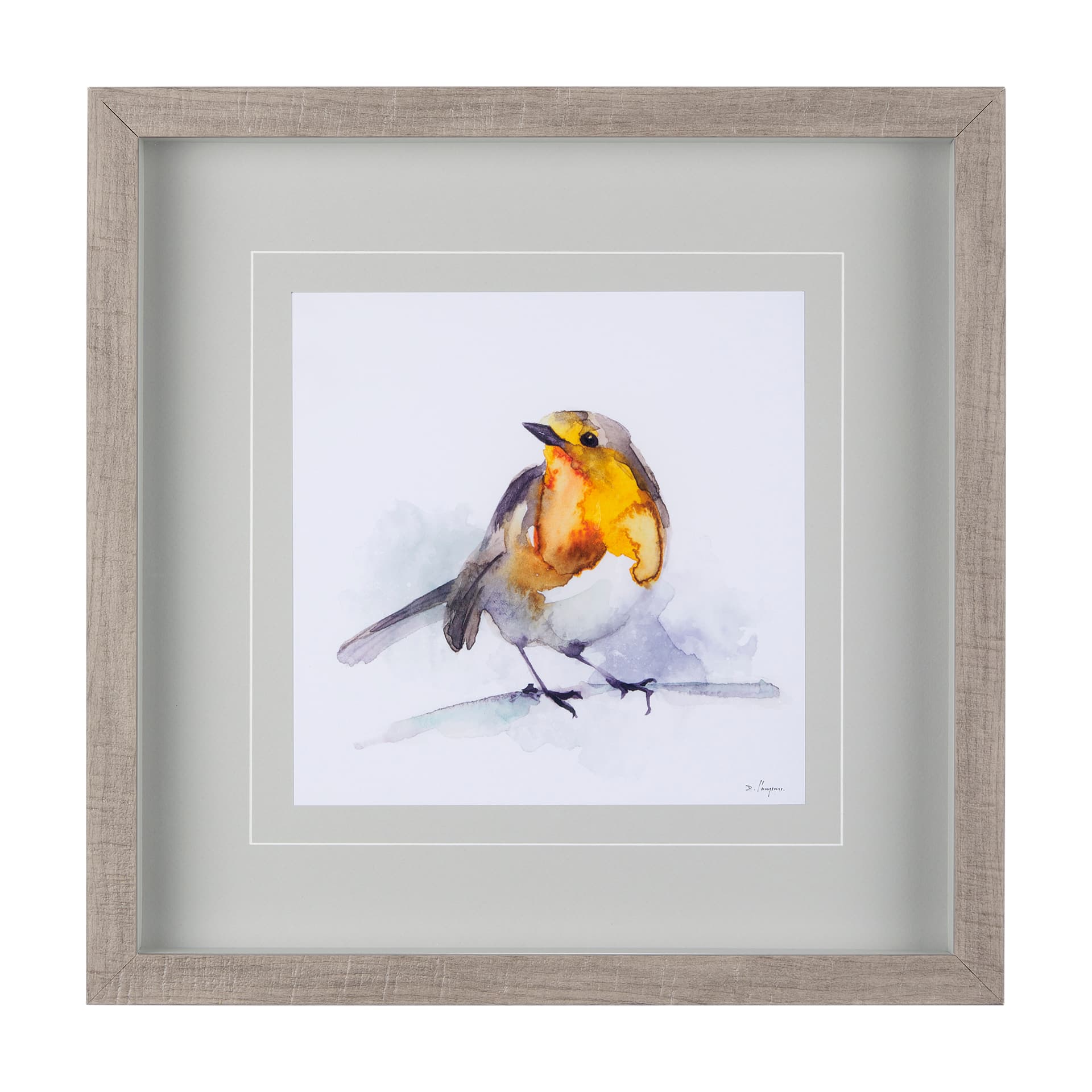 Robin IV by Mercana Studio a Hand Embellished Textured Framed Art Print Matted under Glass — product photograph