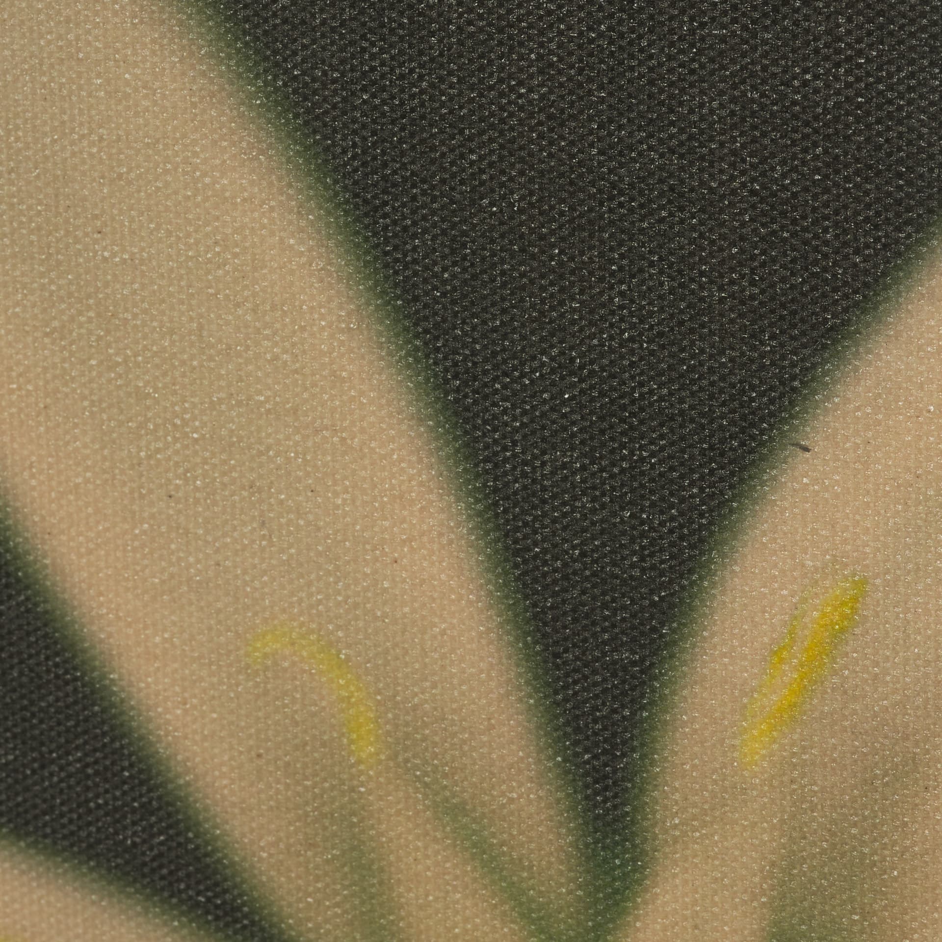 Floral Finesse by Michael Banks a Hand Embellished Framed Photo Art Print Matted under Glass — product photograph