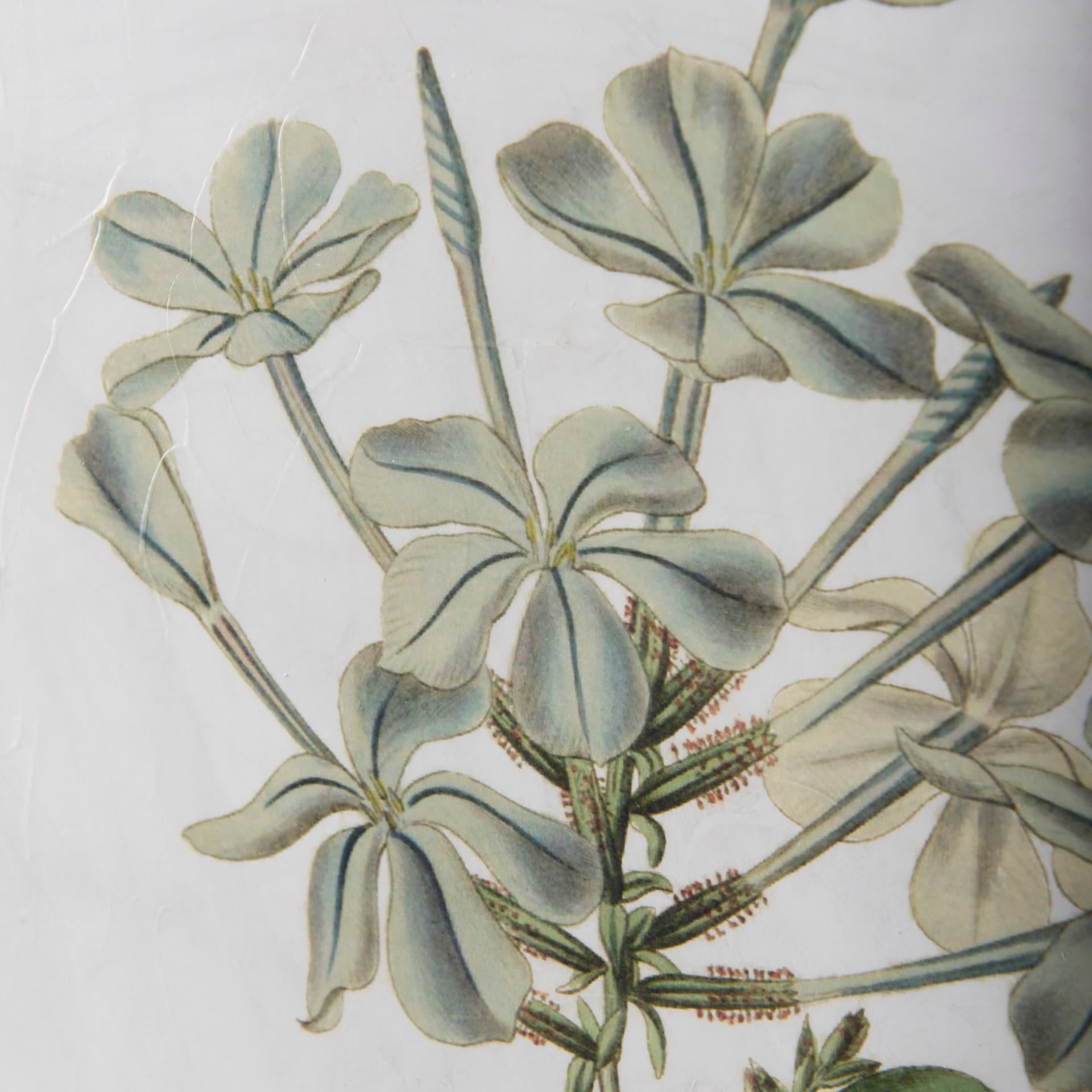 Soft Blue Botanoicals VII by Mercana Studio Hand Embellished Framed Art Print Matted under Glass — product photograph