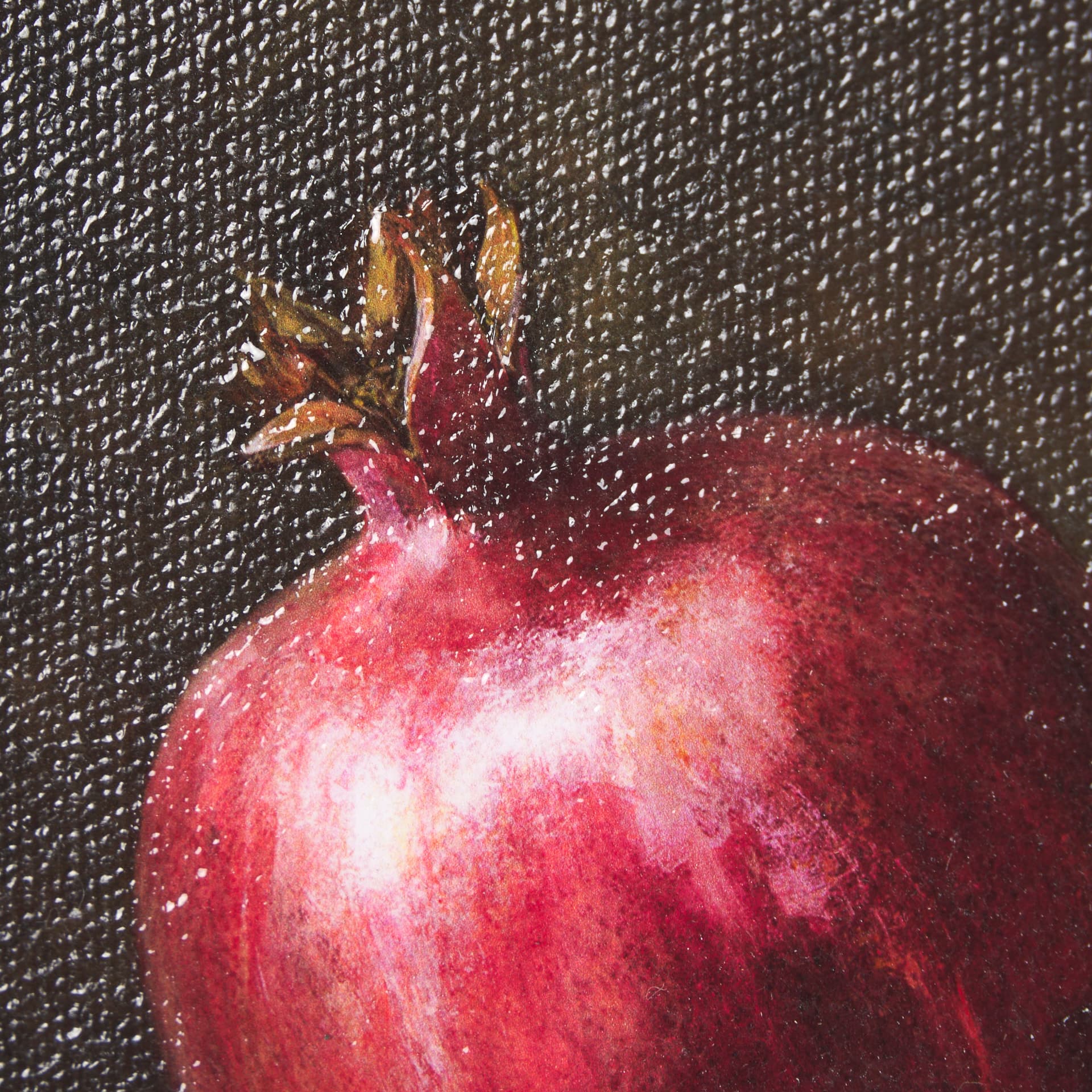 Lonely Pomegranate by Mercana Studio a Hand Embellished Framed Art Print — product photograph