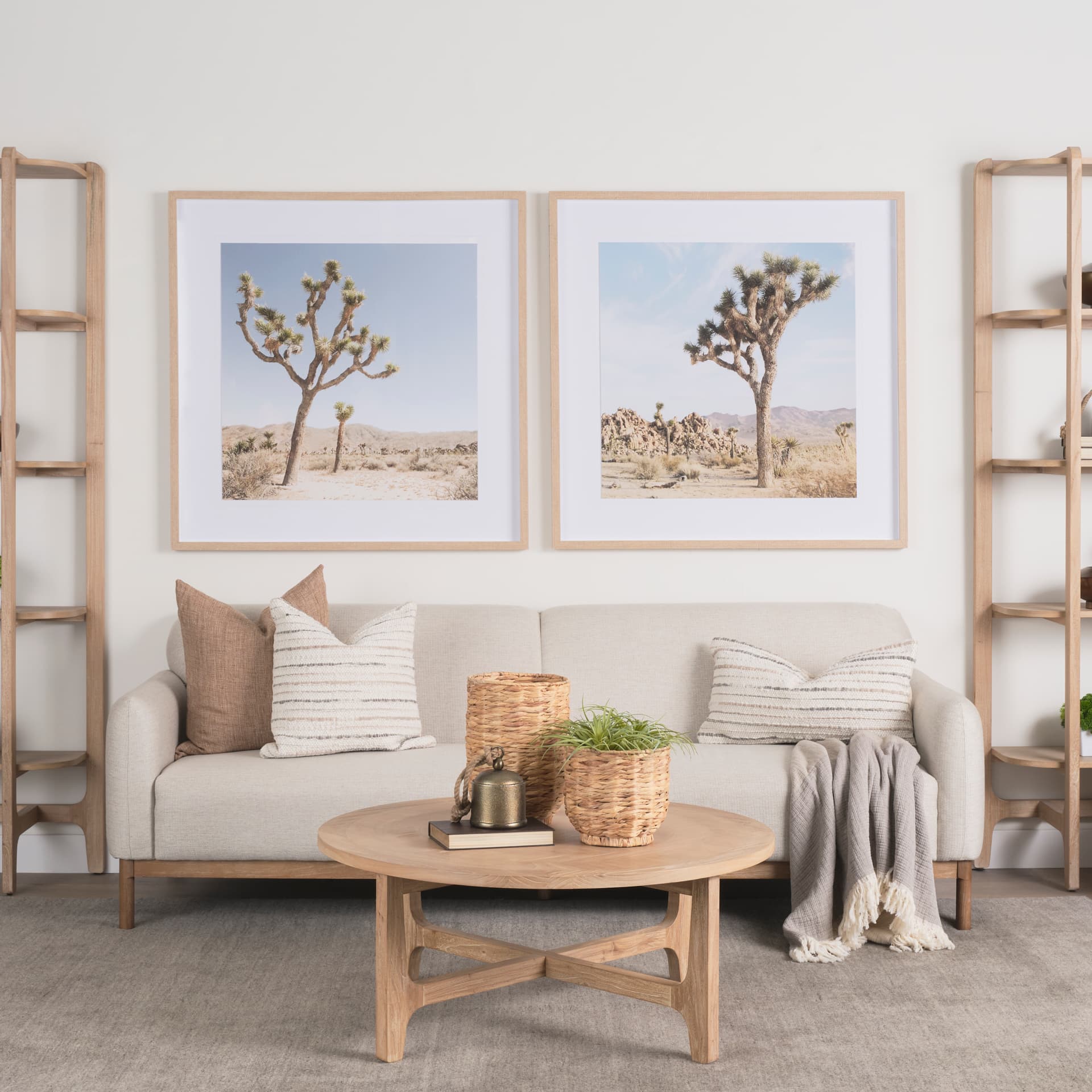 Joshua Tree 1 by THE Studio a Framed Photo Art Print Matted under Glass — in a styled room