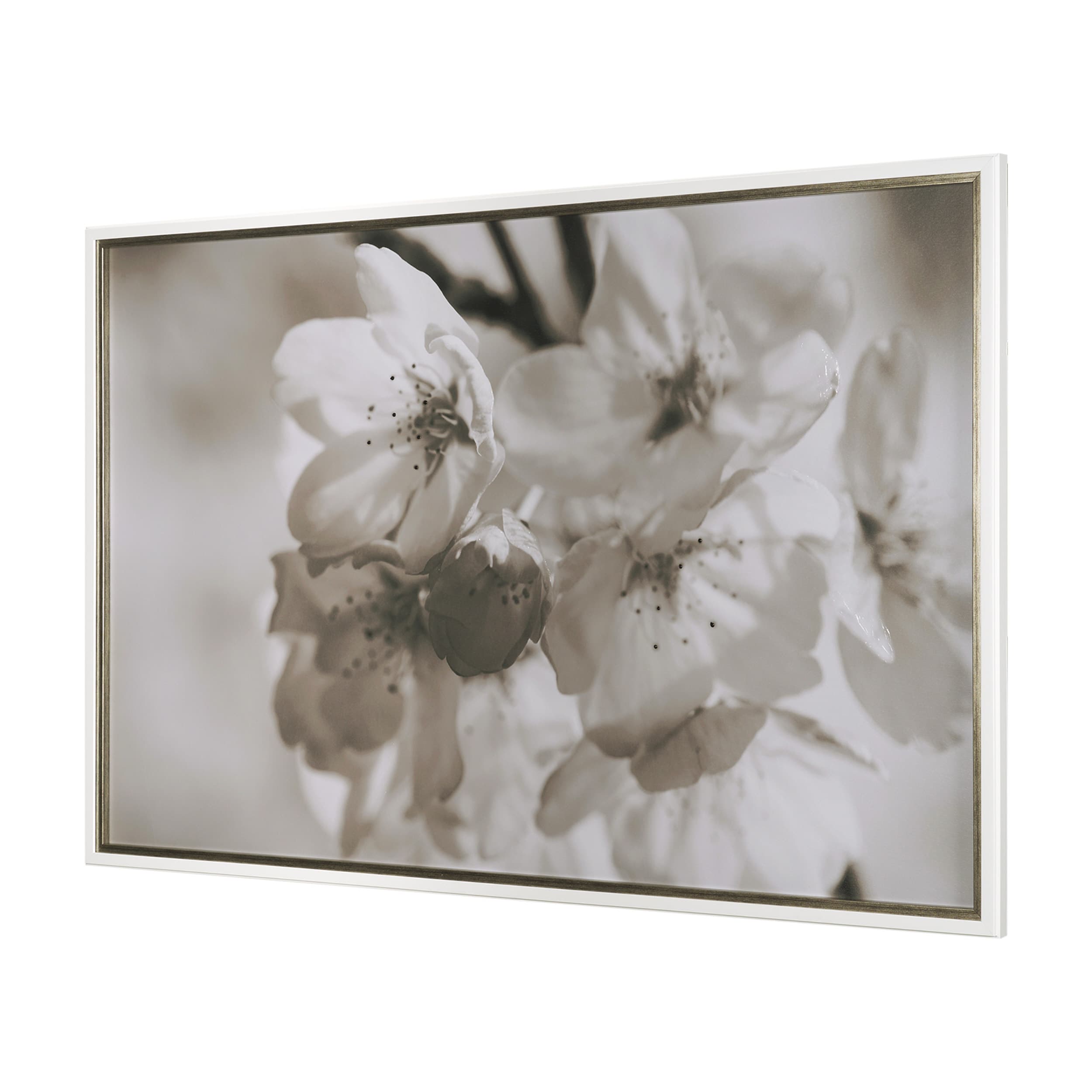 Soft Petals I by Nancy Crowell a Hand Embellished Textured Framed Photo Art Print Matted under Glass — product photograph