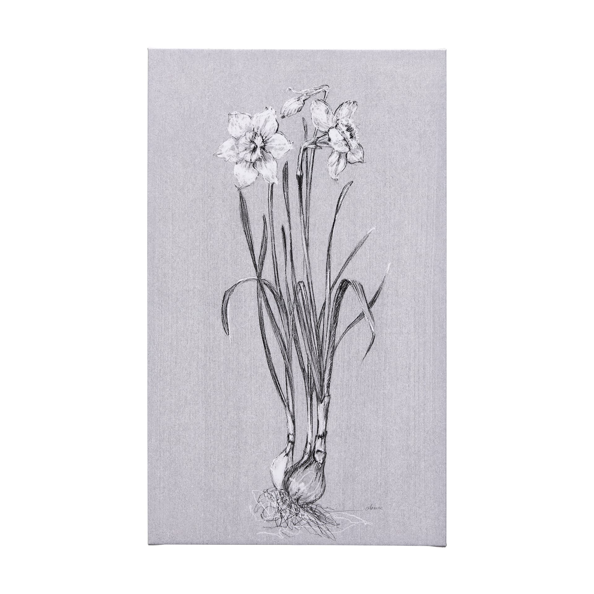 Botanical sketches II (Grey) by Mercana Studio a Hand Embellished Textured Canvas — product photograph