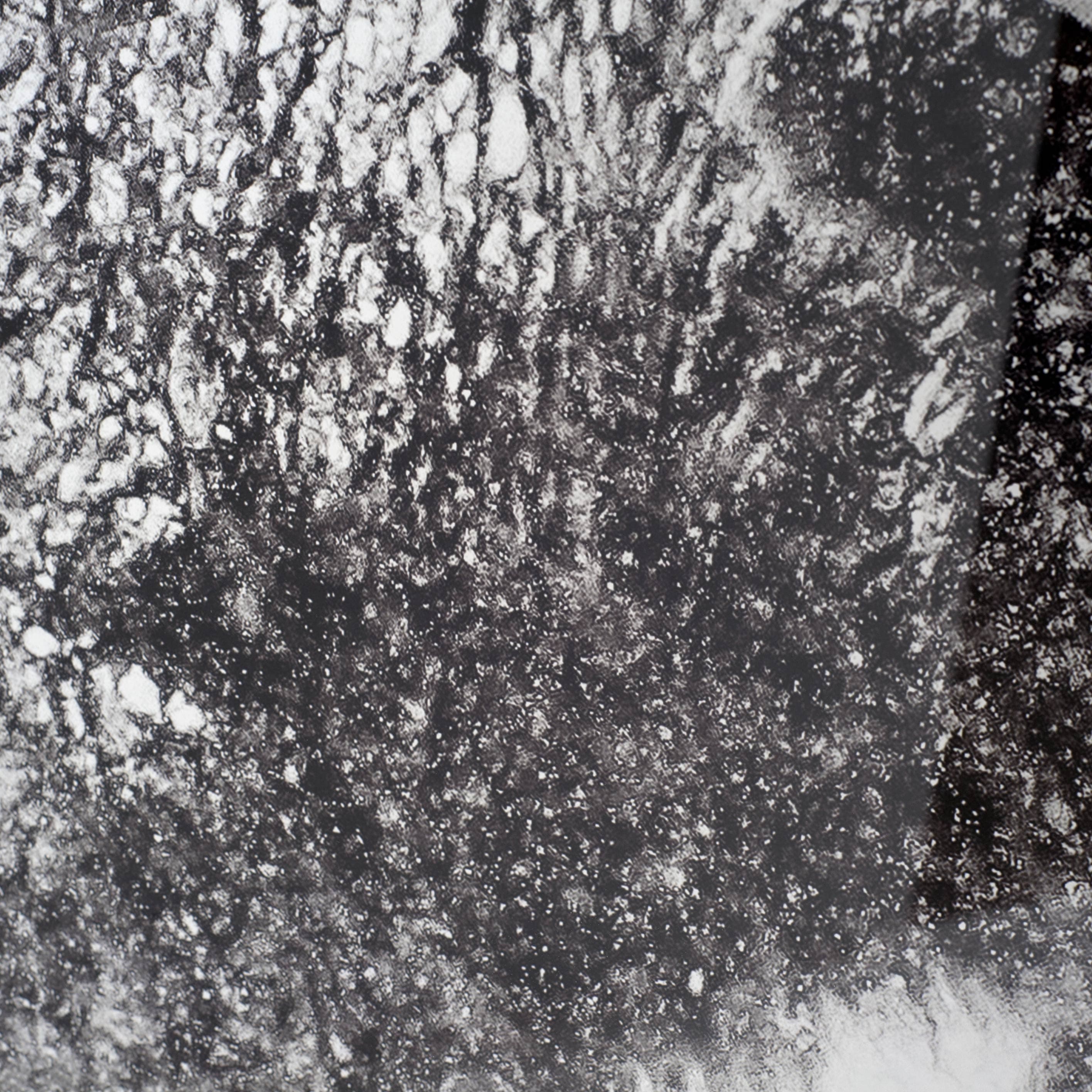 In The Storm by WINK GAINES a Hand Embellished Textured Framed Art Photograph Matted under Glass — product photograph