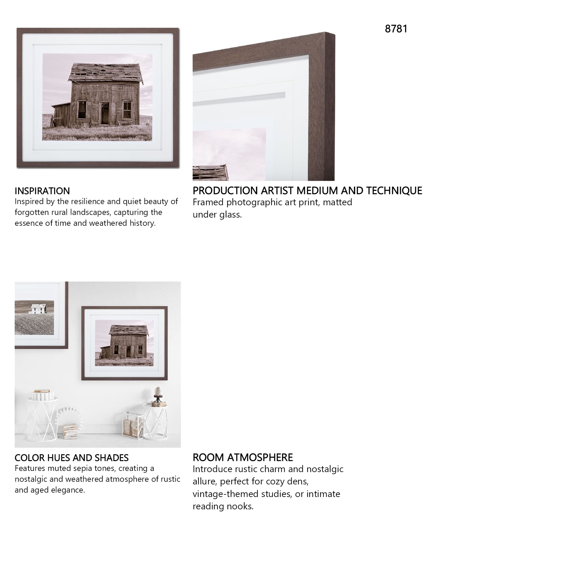 Abandoned Two Story Farm House by Steven Bisig a Framed Photo Art Print Matted under Glass — in a styled room