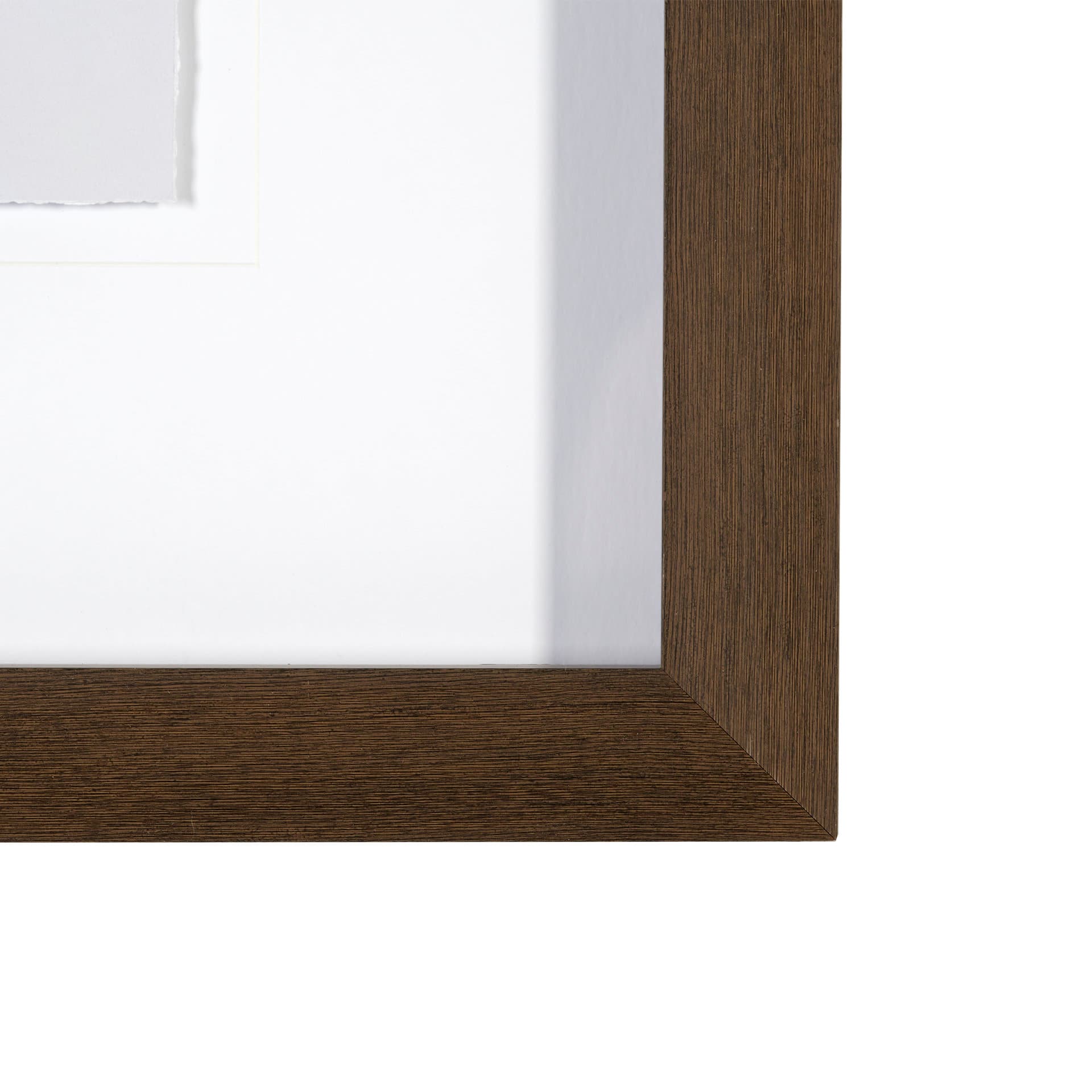 Olive Branch I by Gabrielle a Framed Art Print Matted under Glass — product photograph