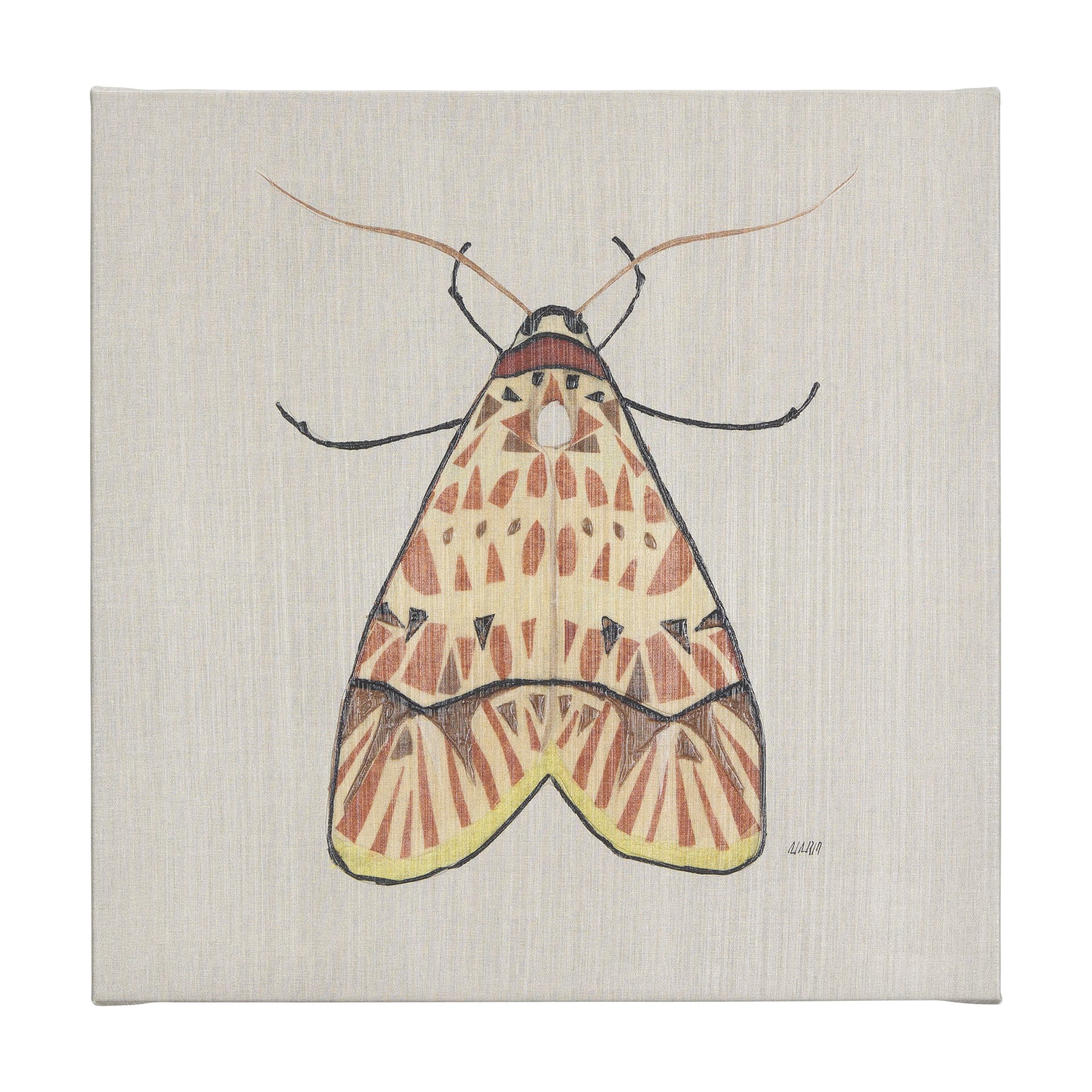 Moth I by Mercana Studio a Hand Embellished Textured Canvas — product photograph