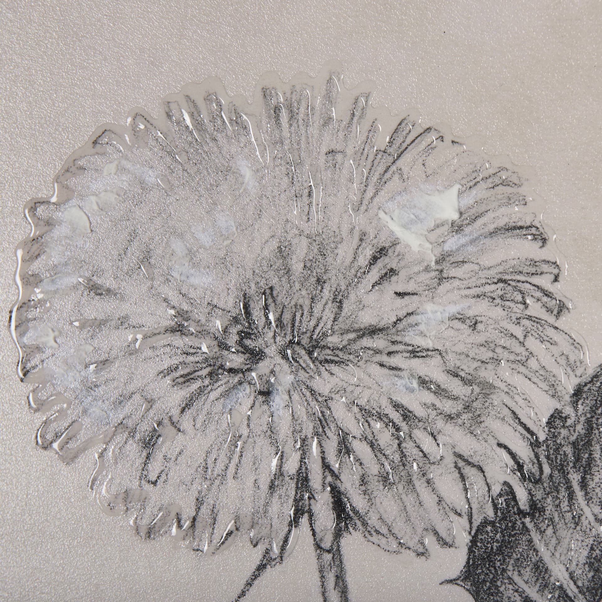 Dandelion Drawing II by Mercana Studio Hand Embellished Textured Framed Art Print Matted under Glass — product photograph