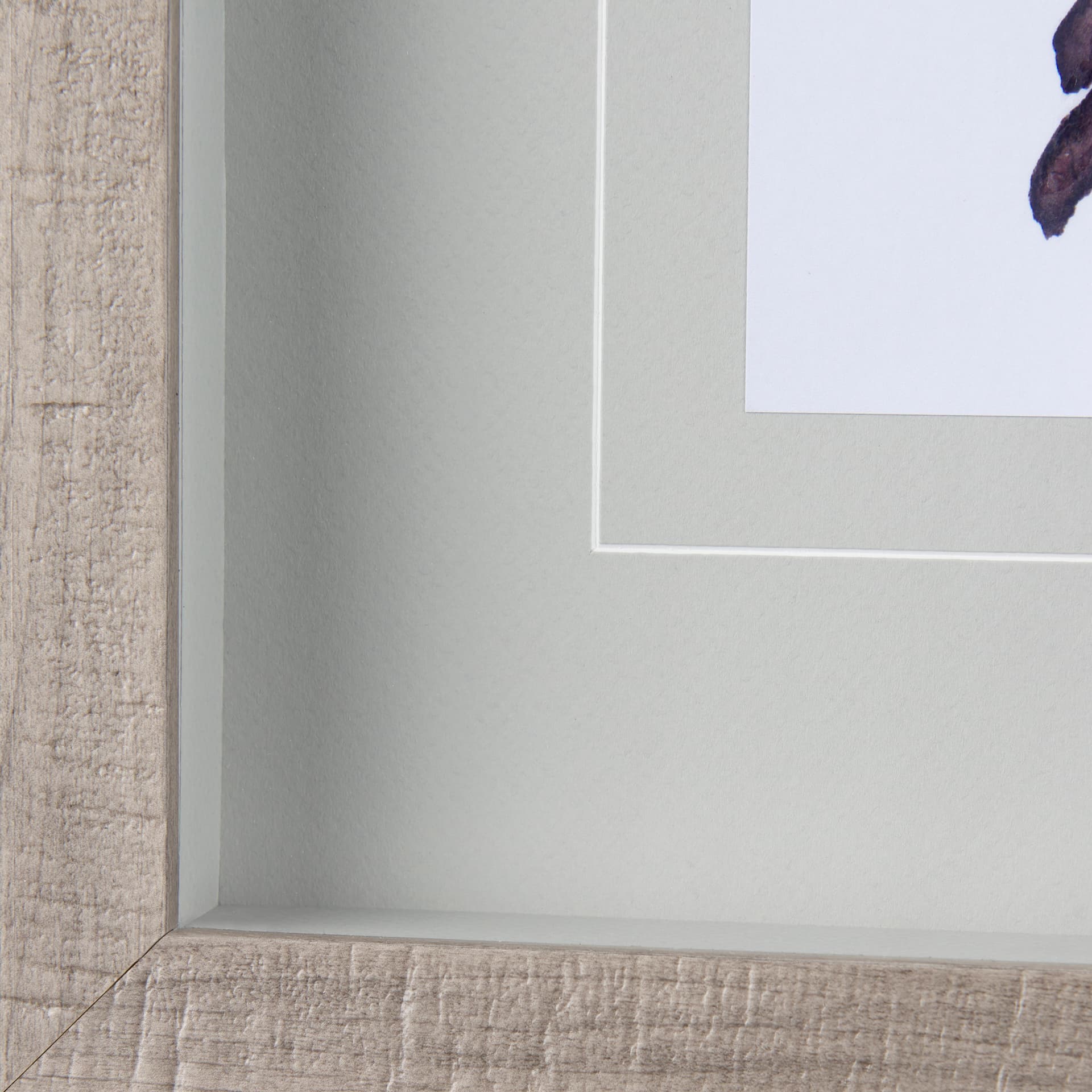 Robin II by Mercana Studio a Hand Embellished Textured Framed Art Print Matted under Glass — product photograph