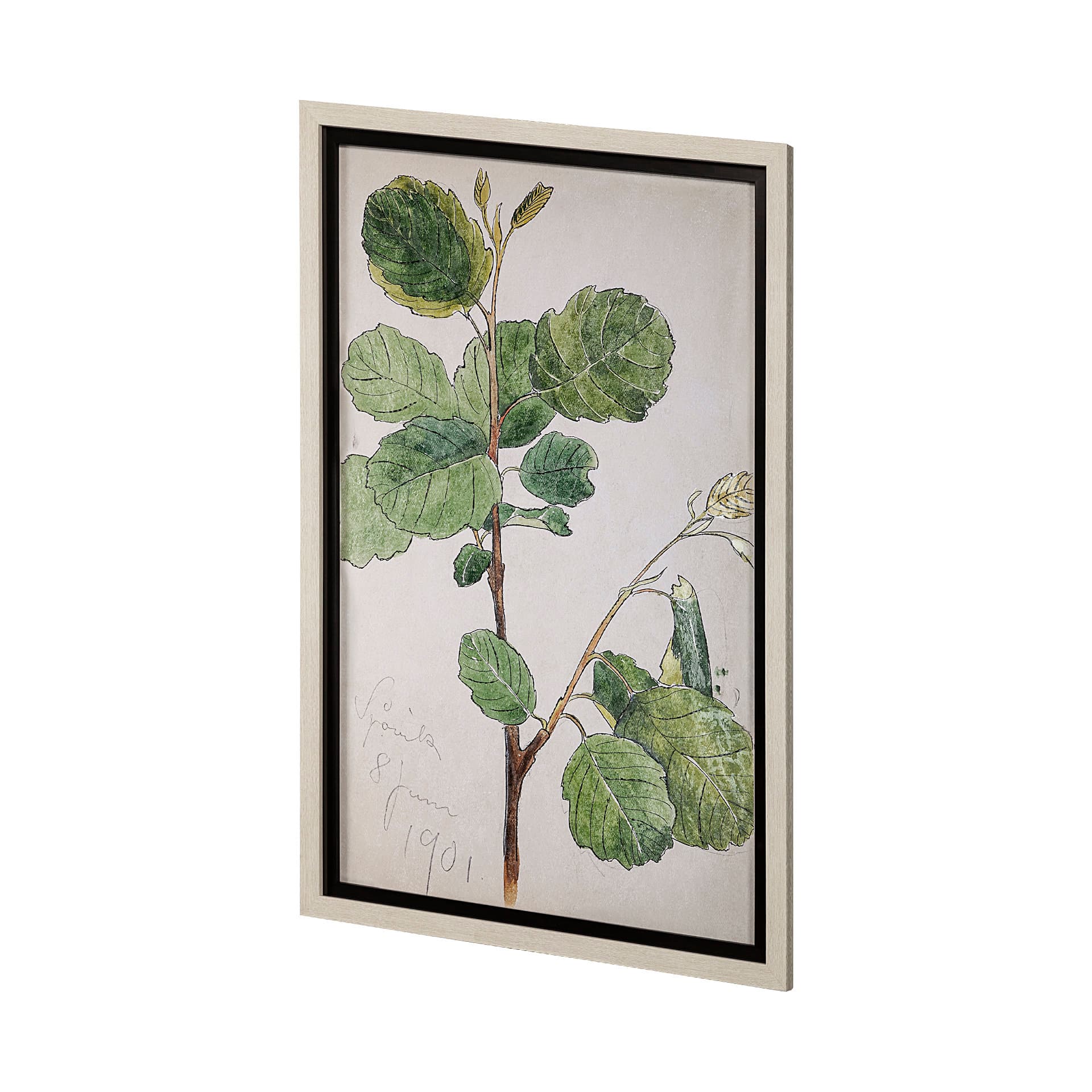 Bald Akvarellmalning by John Bauer a Hand Embellished Textured Framed Art Print Matted under Glass — product photograph