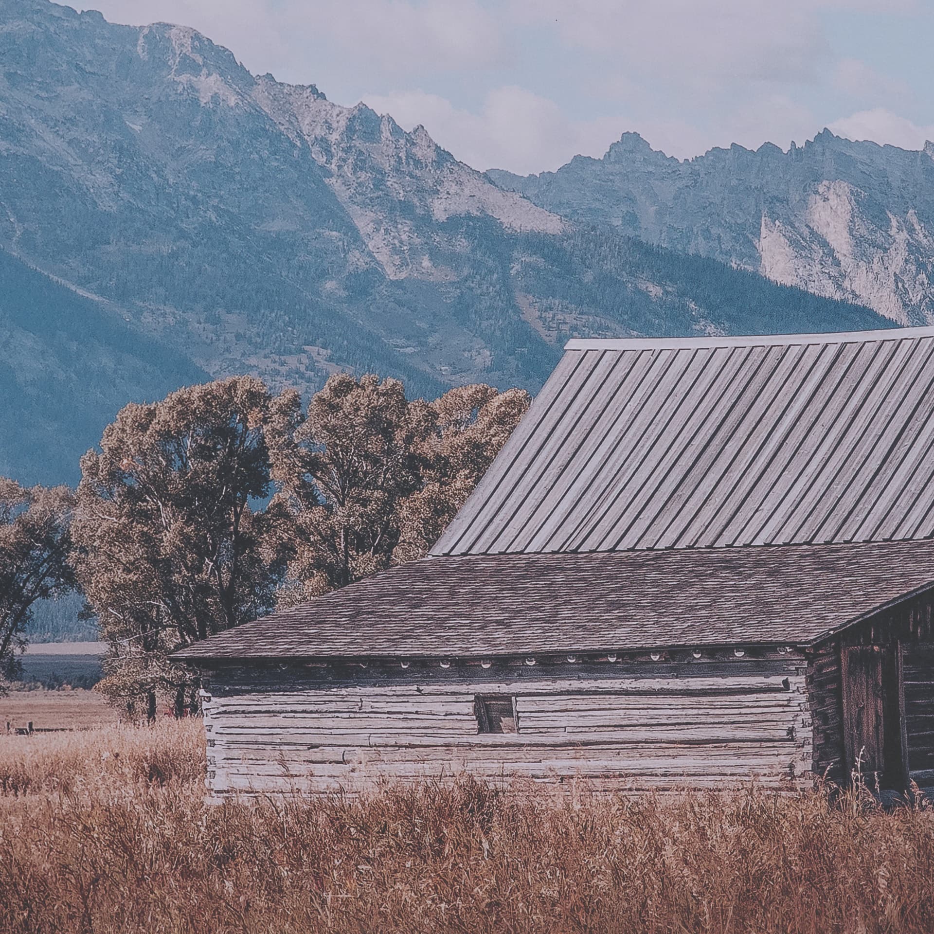 Historic Row IV by Nathan Larson a Framed Photo Art Print Matted under Glass — product photograph