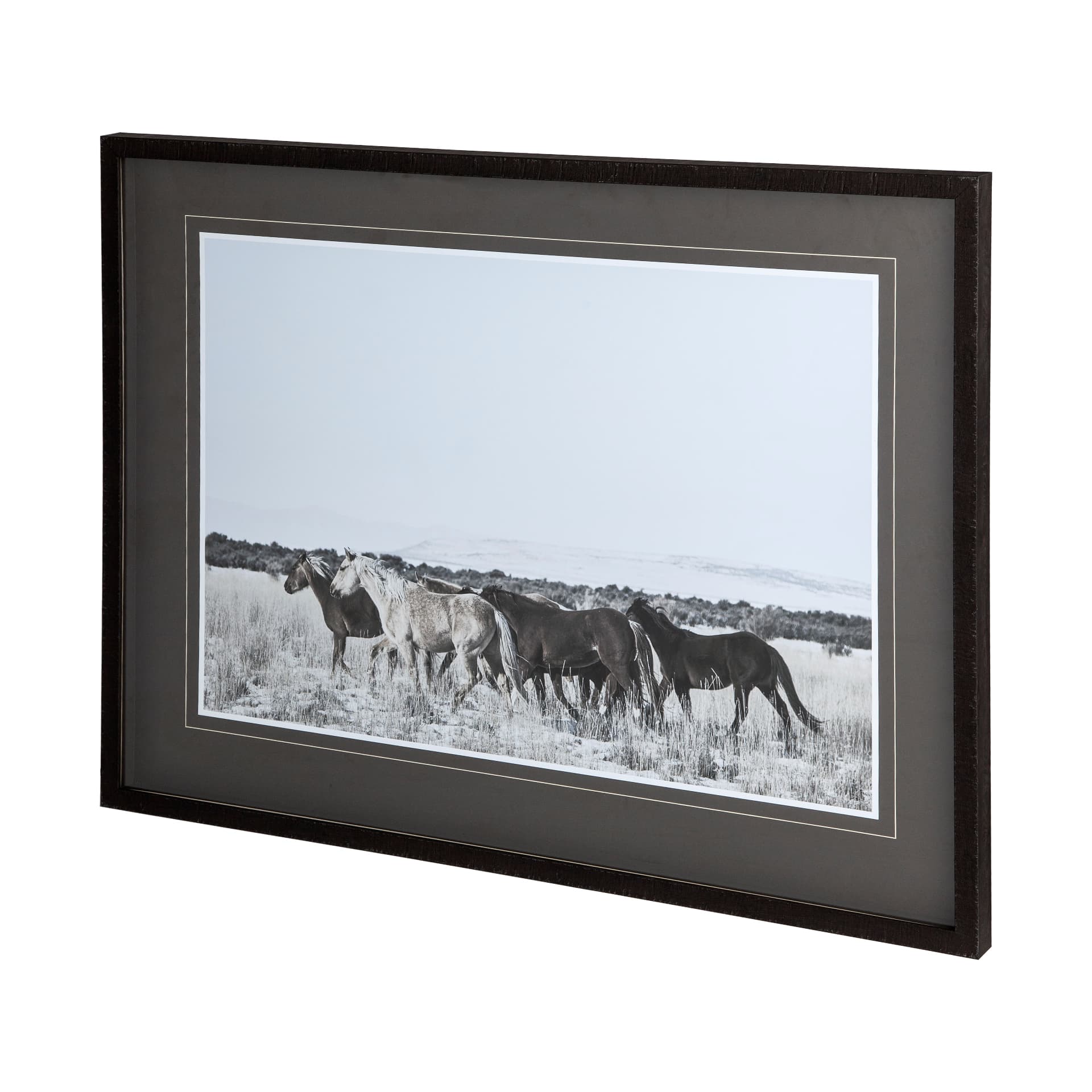 Horse Fort Ranch 12 by Dunker a Framed Photo Art Print Matted under Glass — product photograph