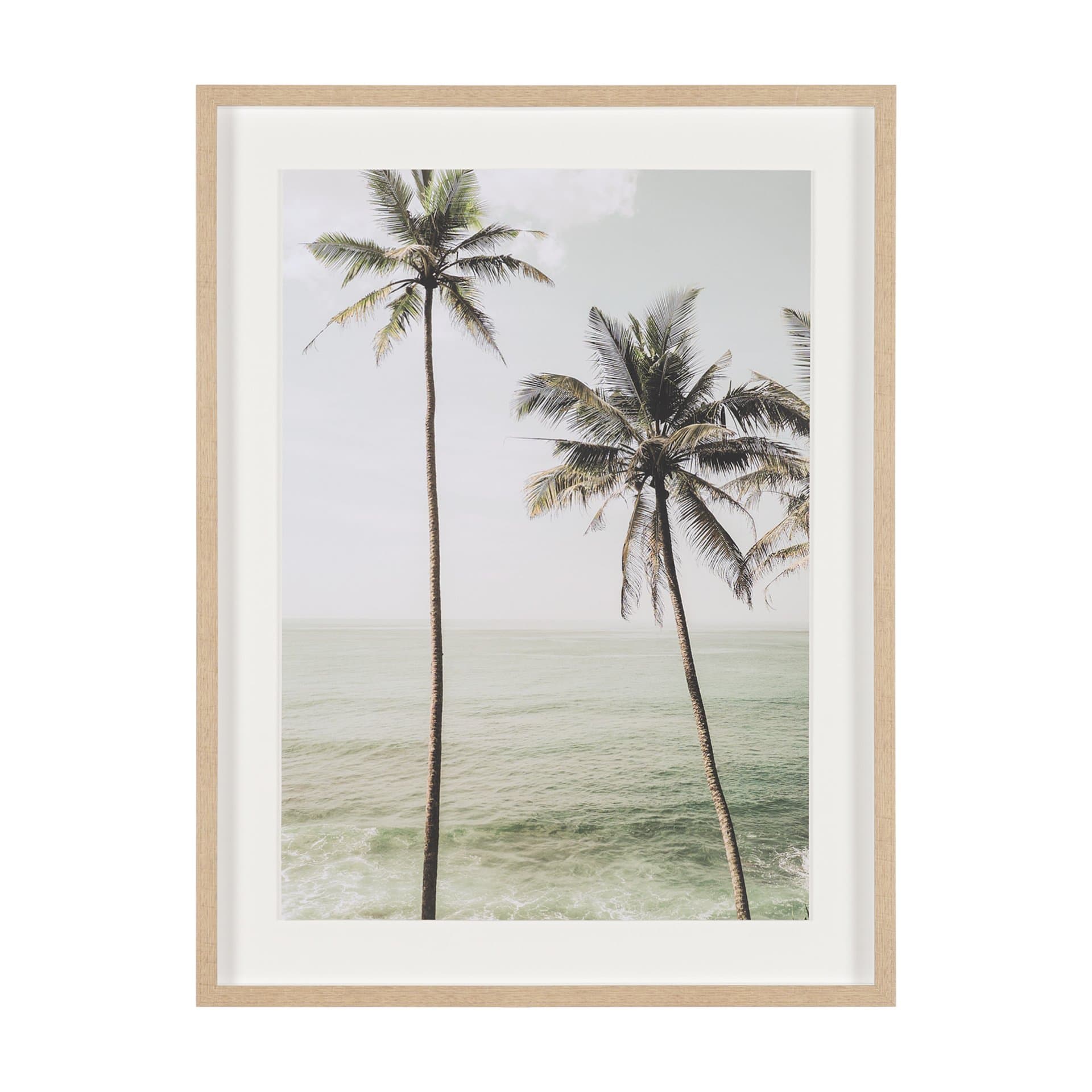 Oceanside Palms by Shot By Clint Framed Photo Print Matted under Glass — product photograph