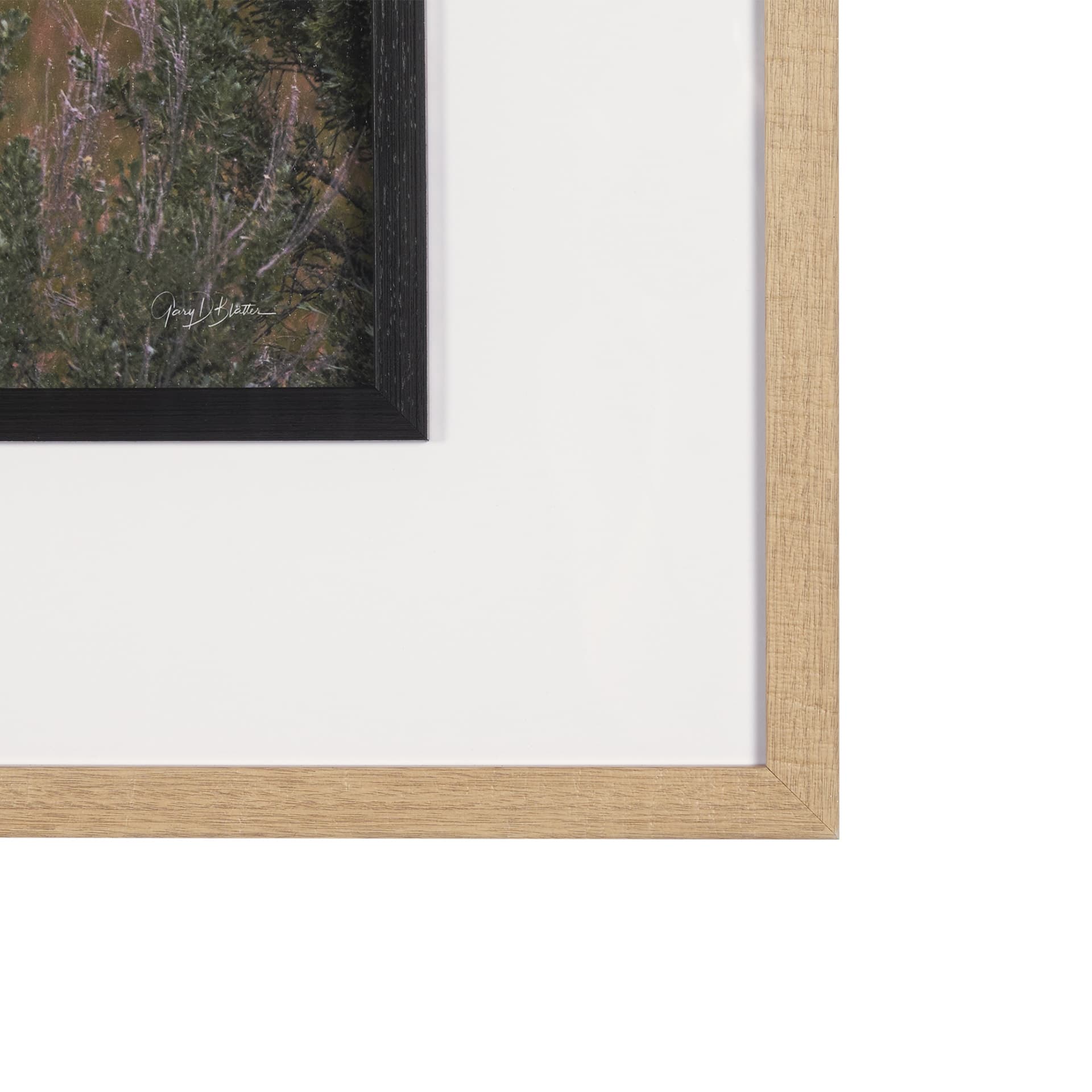 Longhorn 5 by Gary Blatter a Hand Embellished Framed Photo Art Print Matted under Glass — product photograph