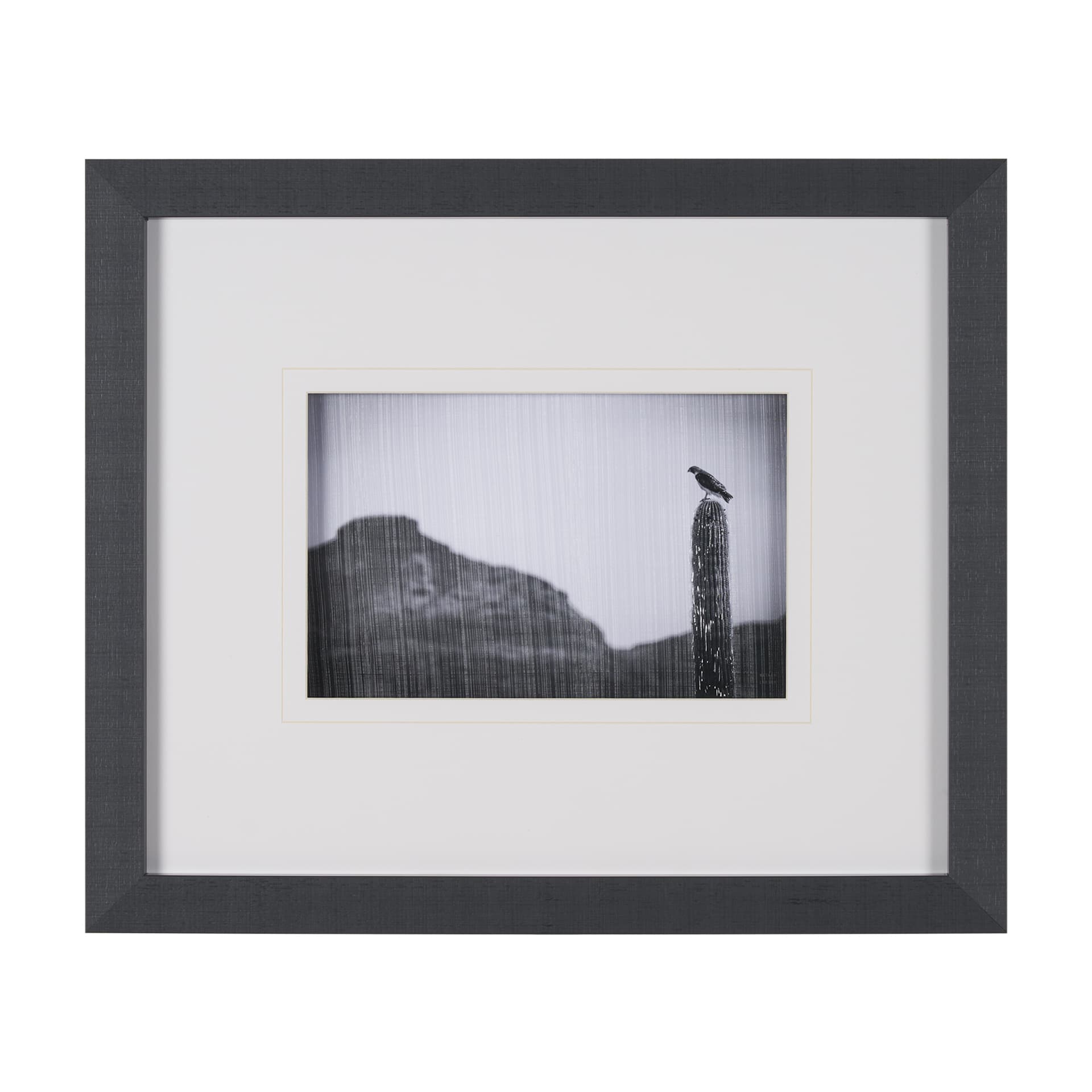 Desert Hunter by Nathan Larson a Hand Embelished Textured Framed Photo Art Print Matted under Glass — product photograph
