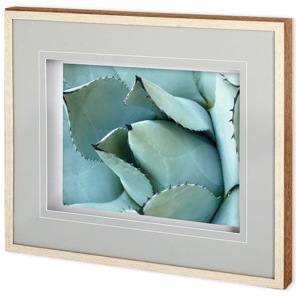 Agave Detail I by Alison Jerry a Framed Photo Art Print Matted under Glass — product photograph