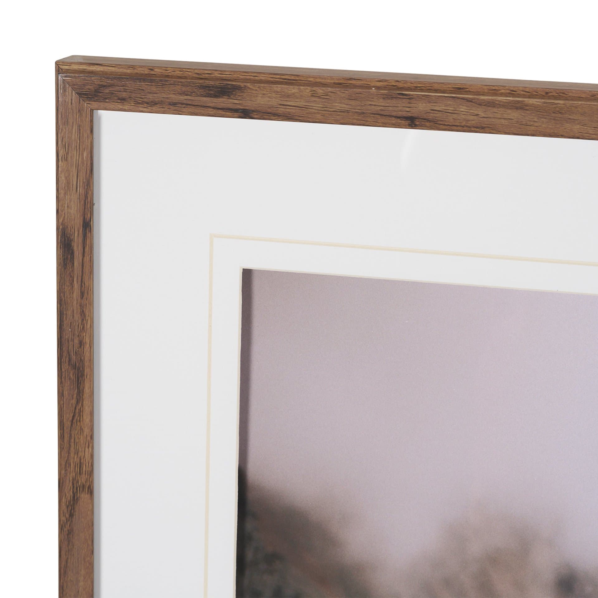 Icelandic Horse by Stefan and Audrey Framed Photo Print Matted under Glass — product photograph