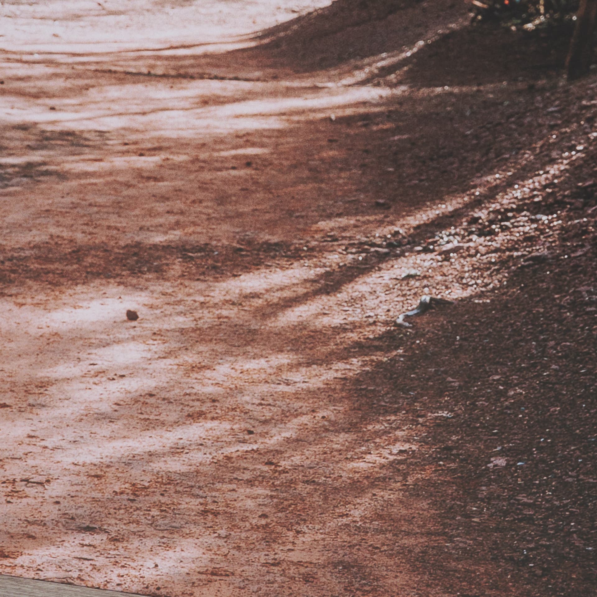 Path to Devil's Bridge by Kelly Frere FramedPhoto Print Matted under Glass — product photograph