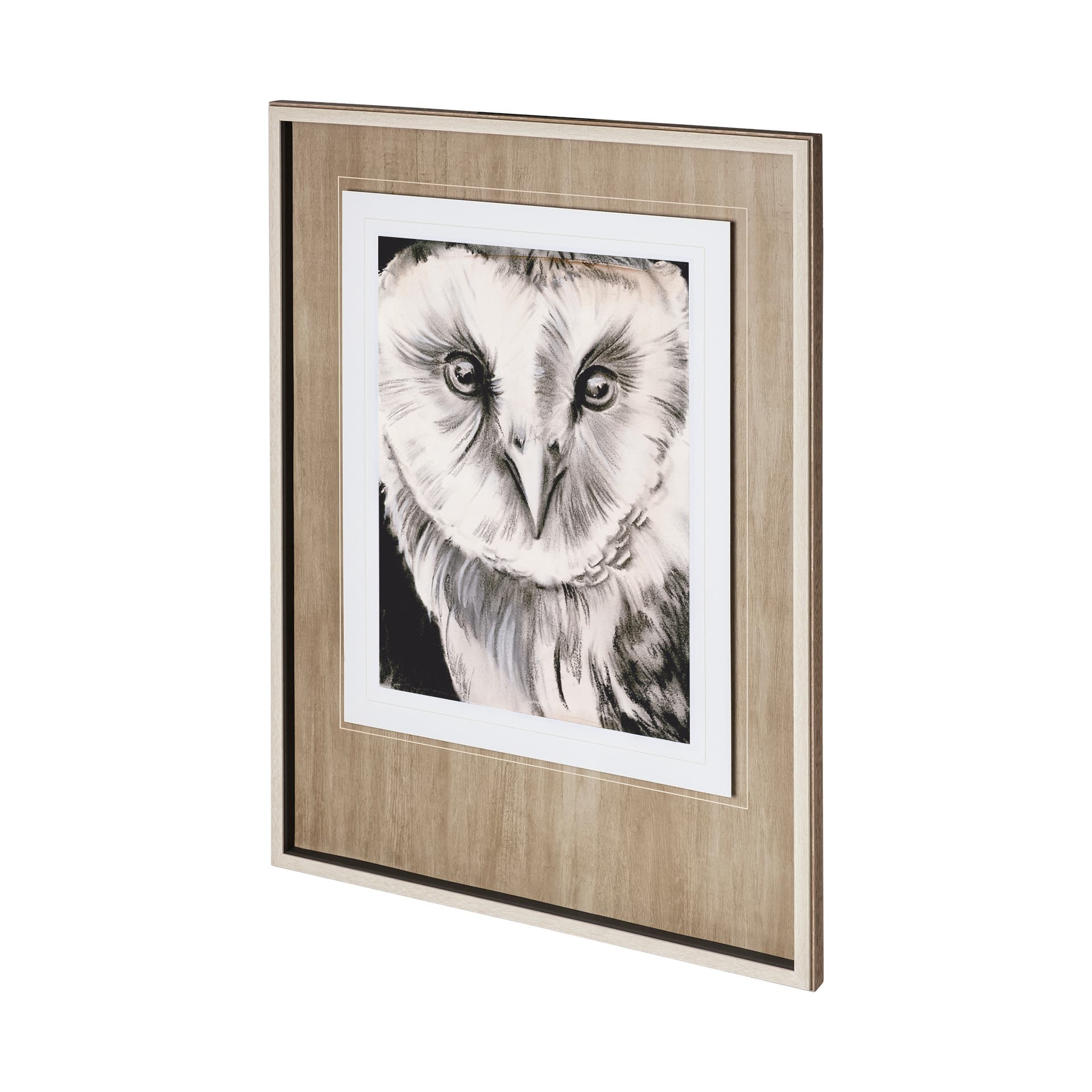 Charcoal Owl II by Jennifer Paxton Parker a Framed Art Print Matted under Glass — product photograph