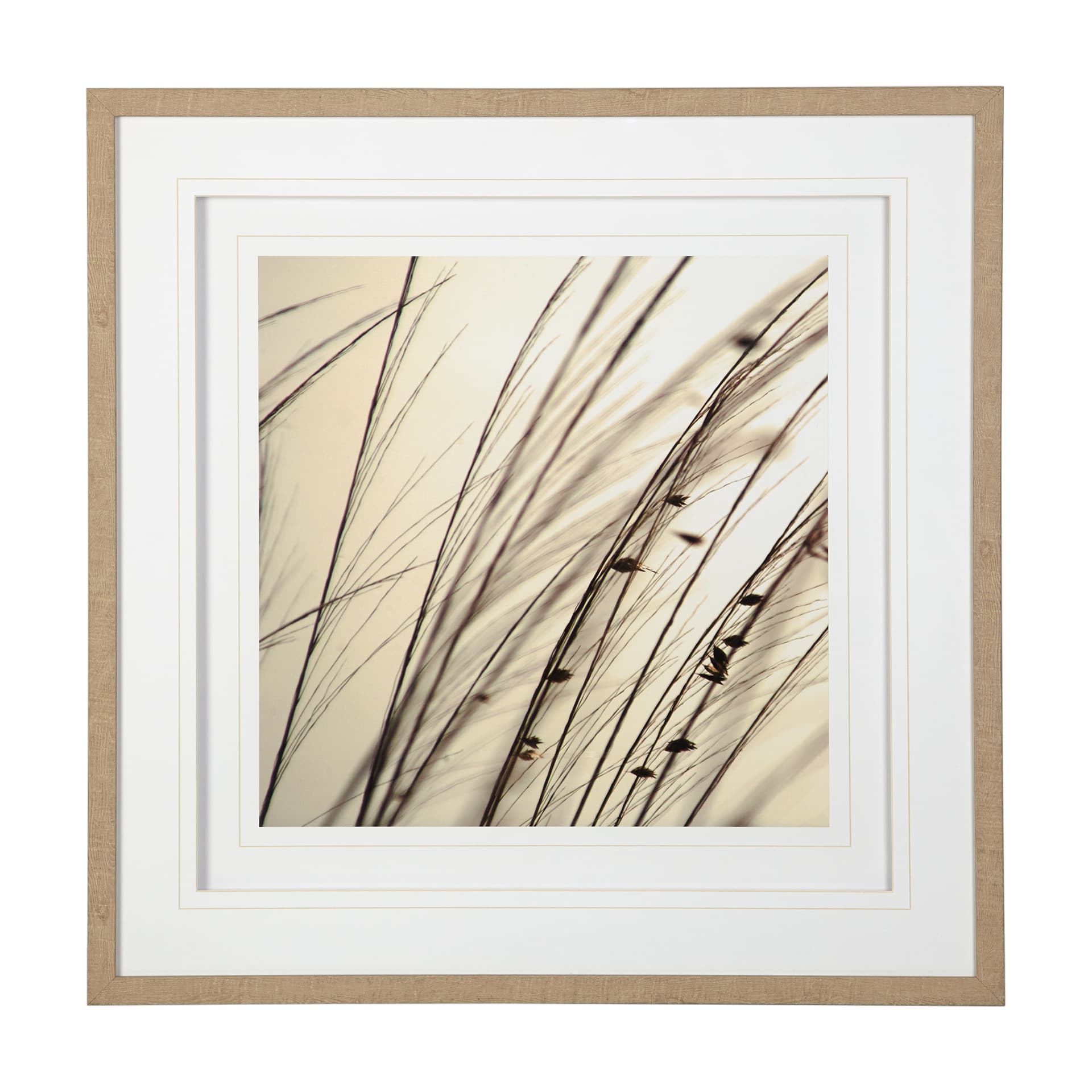 Organic I by Tony Koukos a Hand Embellished Textured Framed Art Photograph Matted under Glass — product photograph