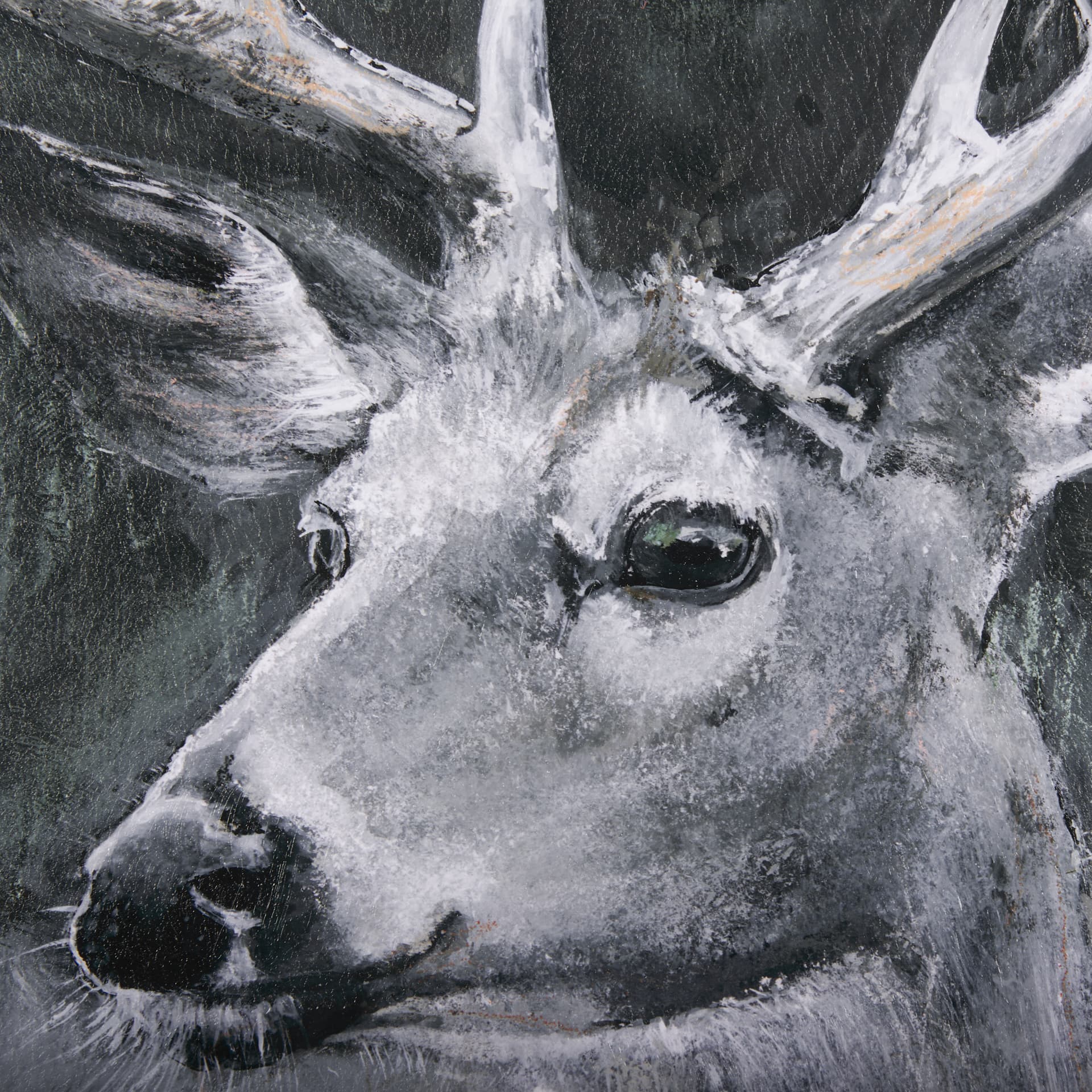 Animal Portrait IV (Deer) by Mercana Studio Hand Embellished Framed Art Print Matted under Glass — product photograph