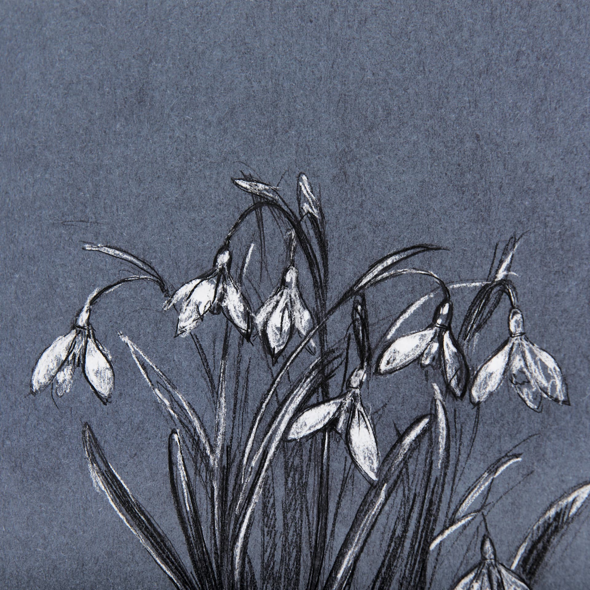 Botanical sketchesVI (Blue) by Mercana Studio Hand Embellished Framed Art Print Matted under Glass — product photograph
