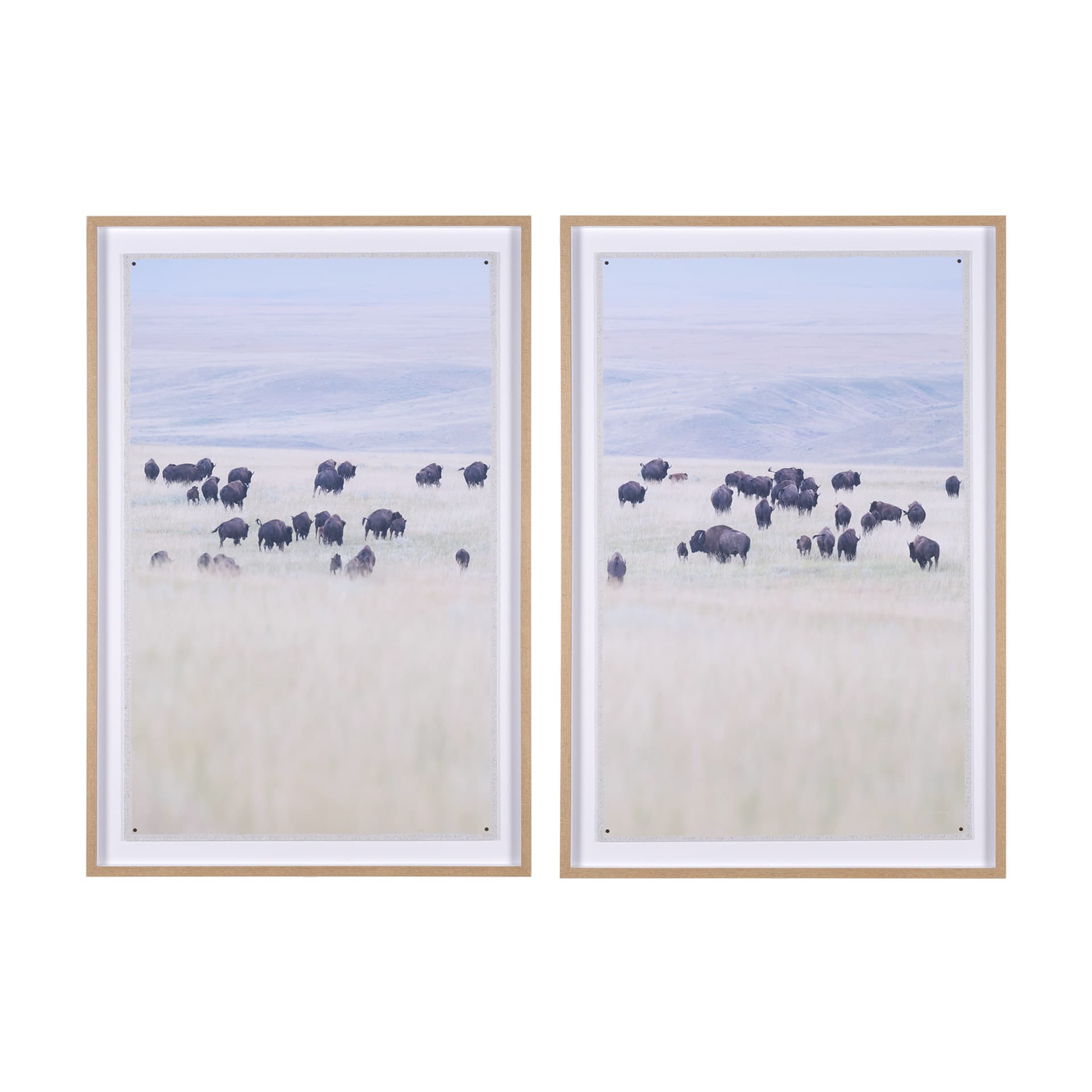 Grazing Herd (Set of 2) by Chad Mackay a Framed Photo Art Print Matted under Glass — product photograph