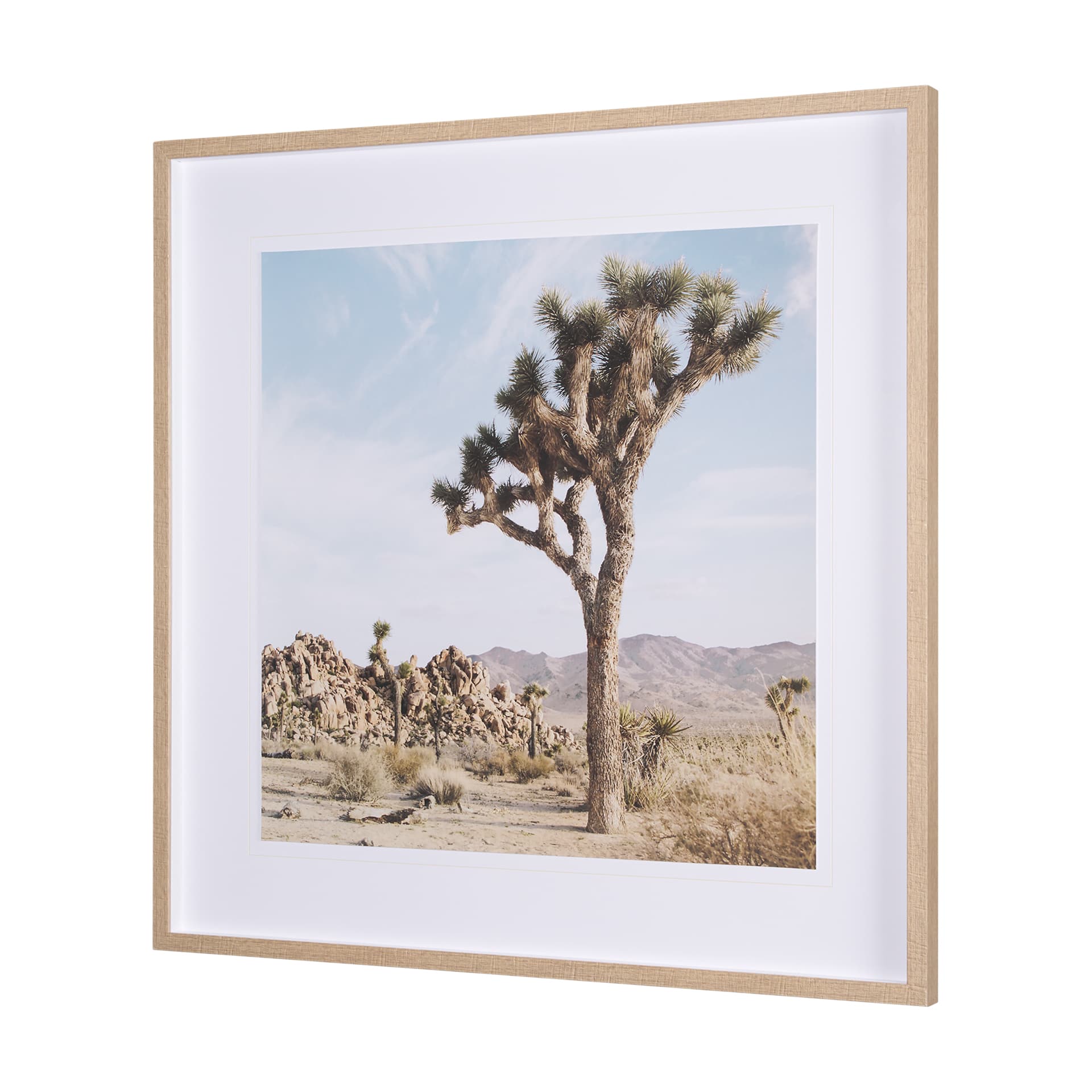 Joshua Tree 3 by THE Studio a Framed Photo Art Print Matted under Glass — product photograph