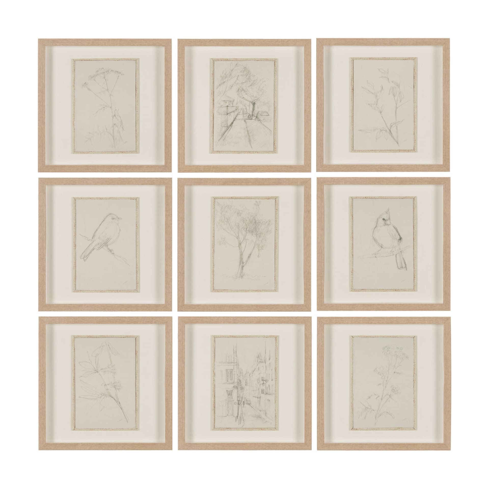 Sketch Collection (Set of 9) by Mercana Studio a Hand Embellished Framed Art Print Matted under Glas — product photograph