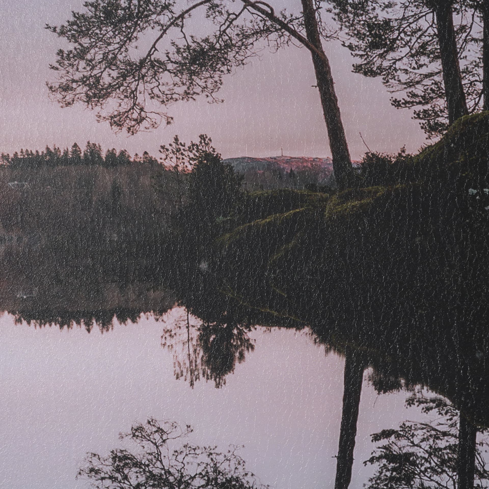 Stupell Industries Tree on Lake (Set of 2) by Thomas Tepstad Berge Framed Photo Print under Glass — product photograph