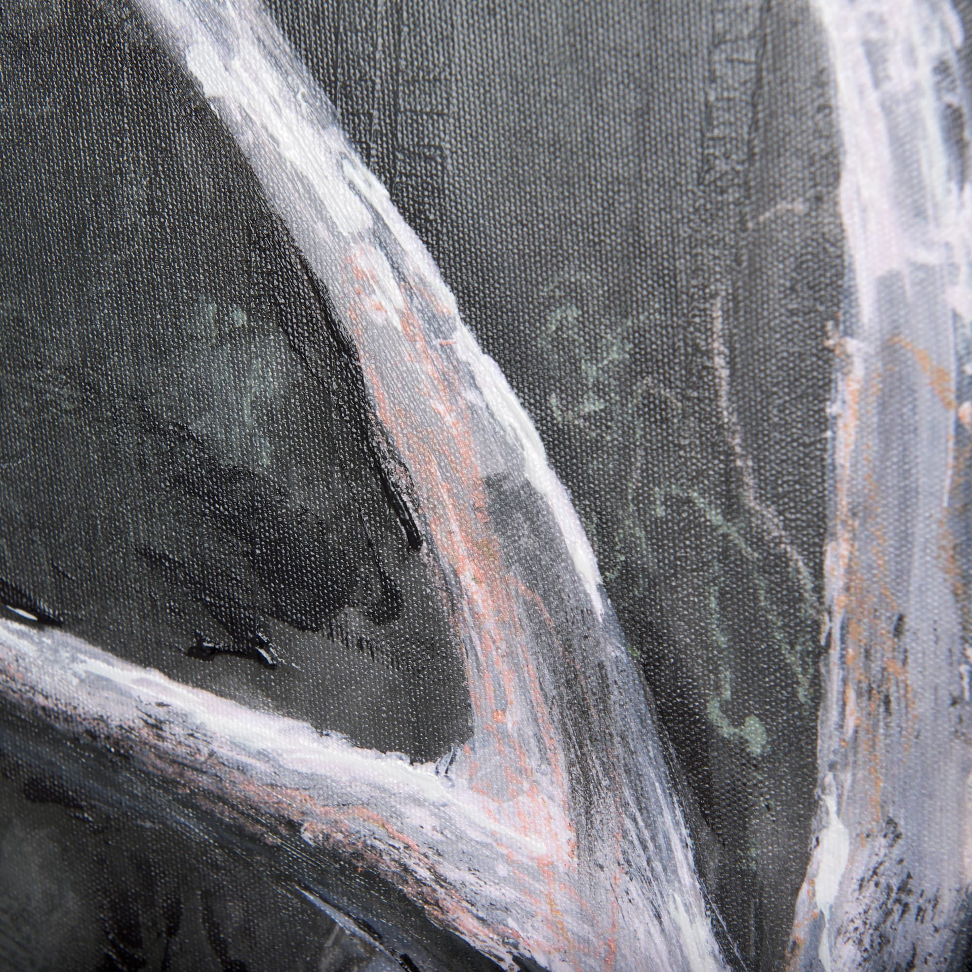 Animal Portrait IV by Mercana Studio a Hand Embellished Textured Canvas — product photograph