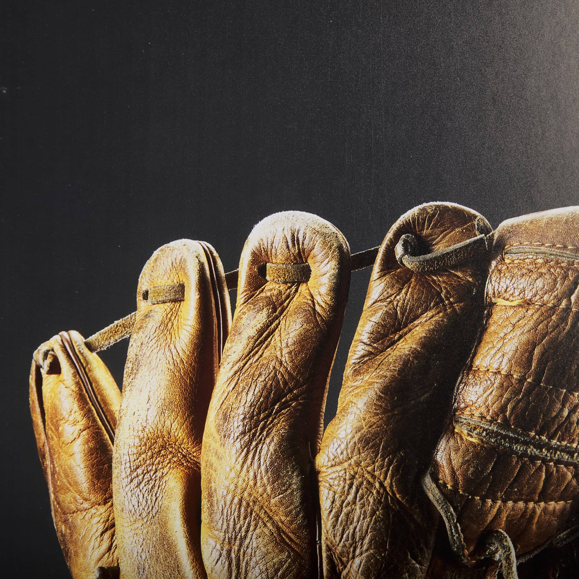 Pop Fly IV by Mercana Studio a Hand Embellished Textured Framed Photo Art Print Matted under Glass — product photograph