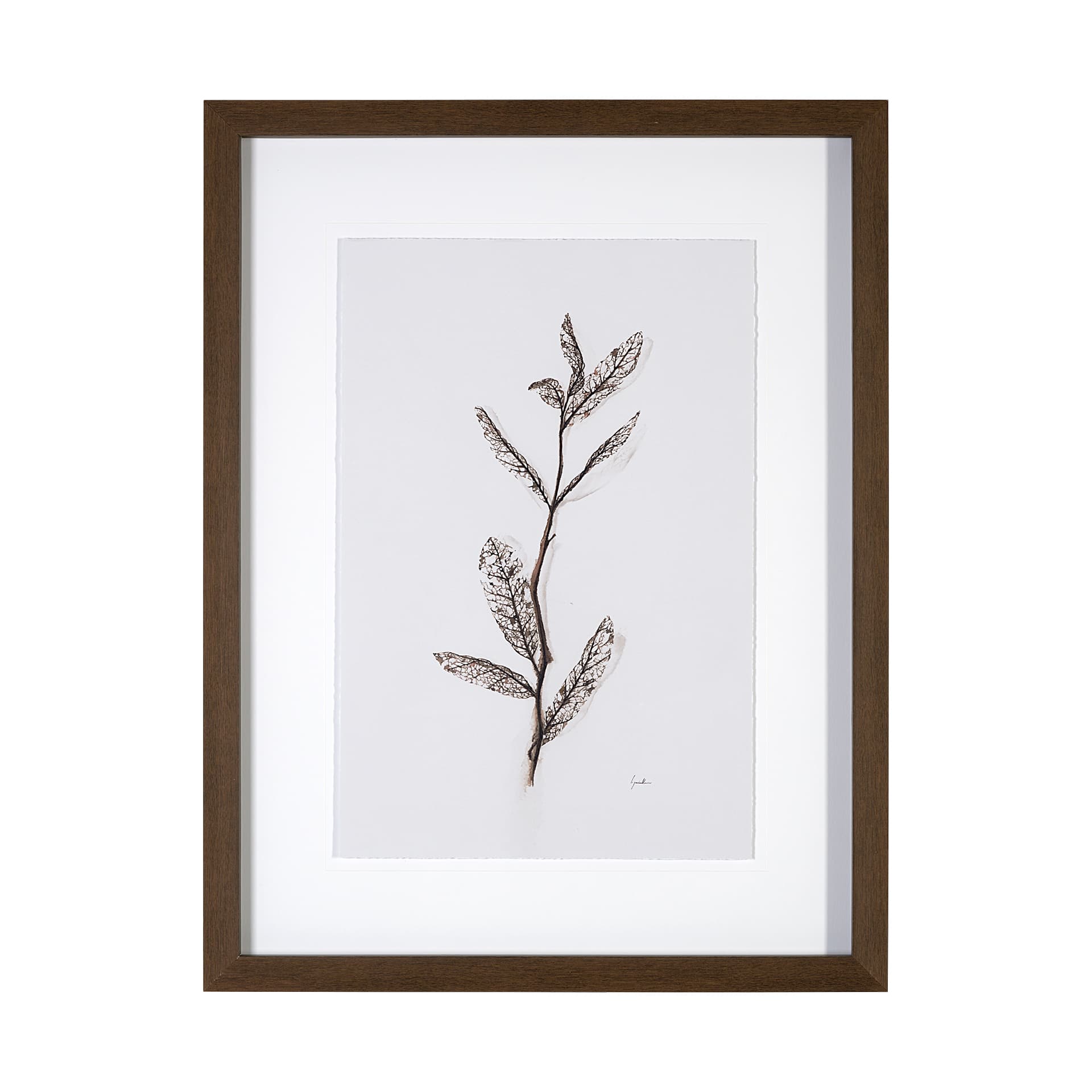Olive Branch I by Gabrielle a Framed Art Print Matted under Glass — product photograph