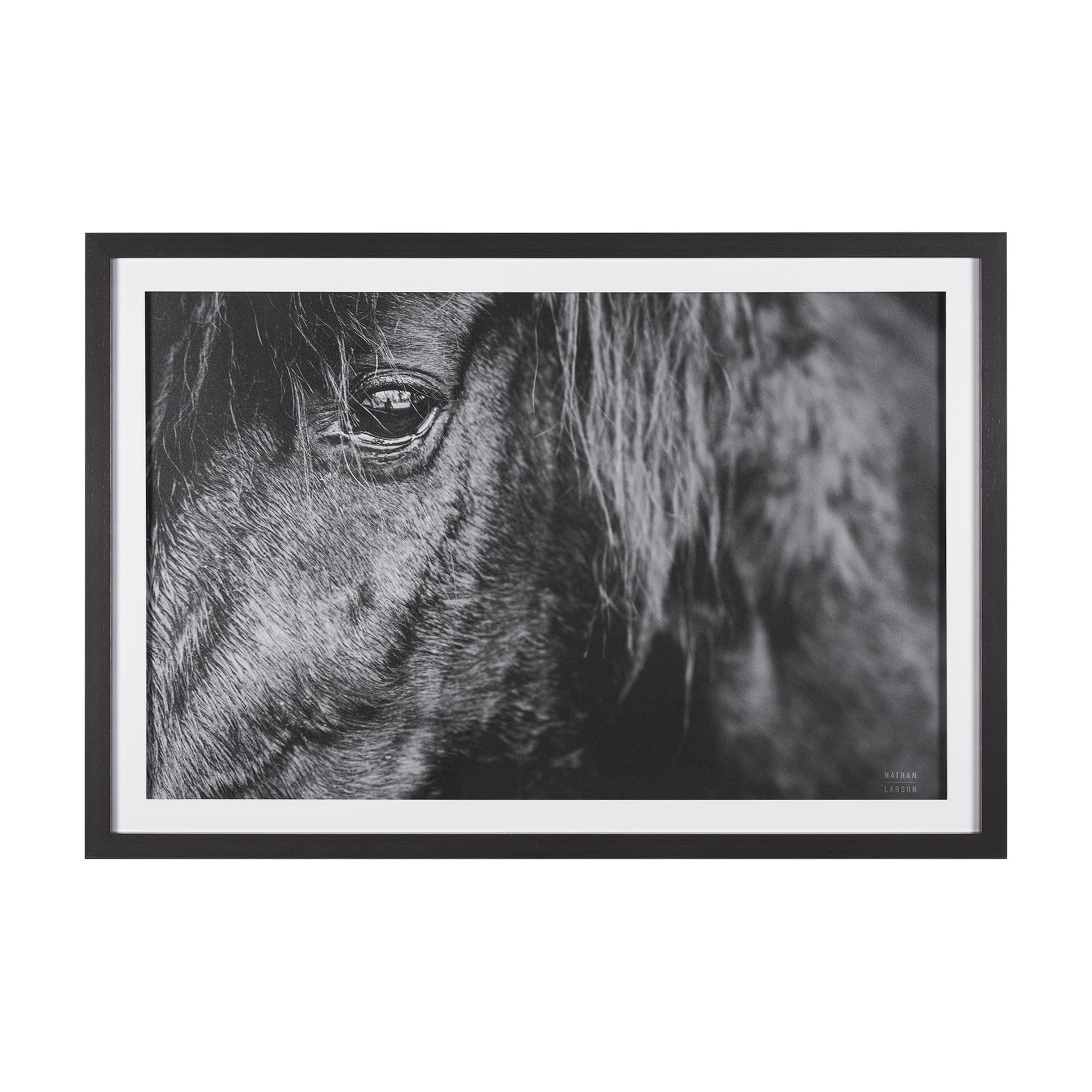 Mustang by Nathan Larson a Hand Embellished Framed Photo Art Print Matted under Glass — product photograph