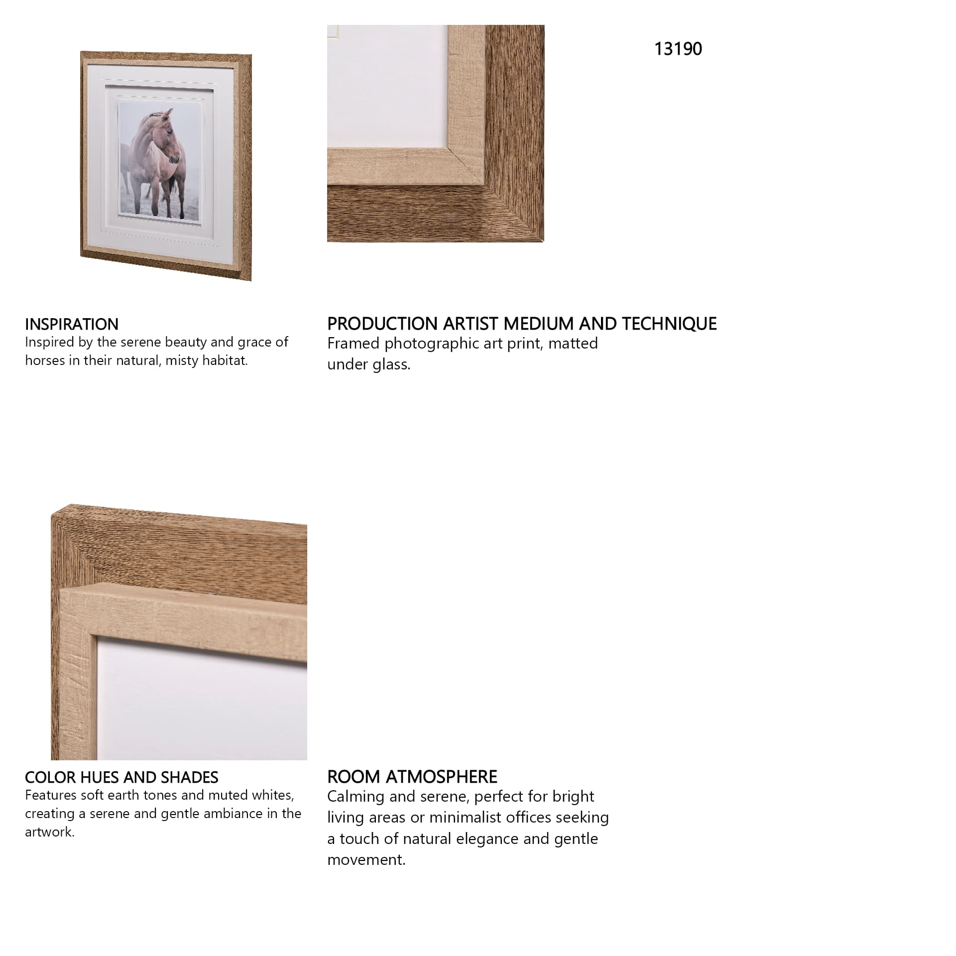 Horse 9 by Chris Dunker a Framed Photo Art Print Matted under Glass — in a styled room