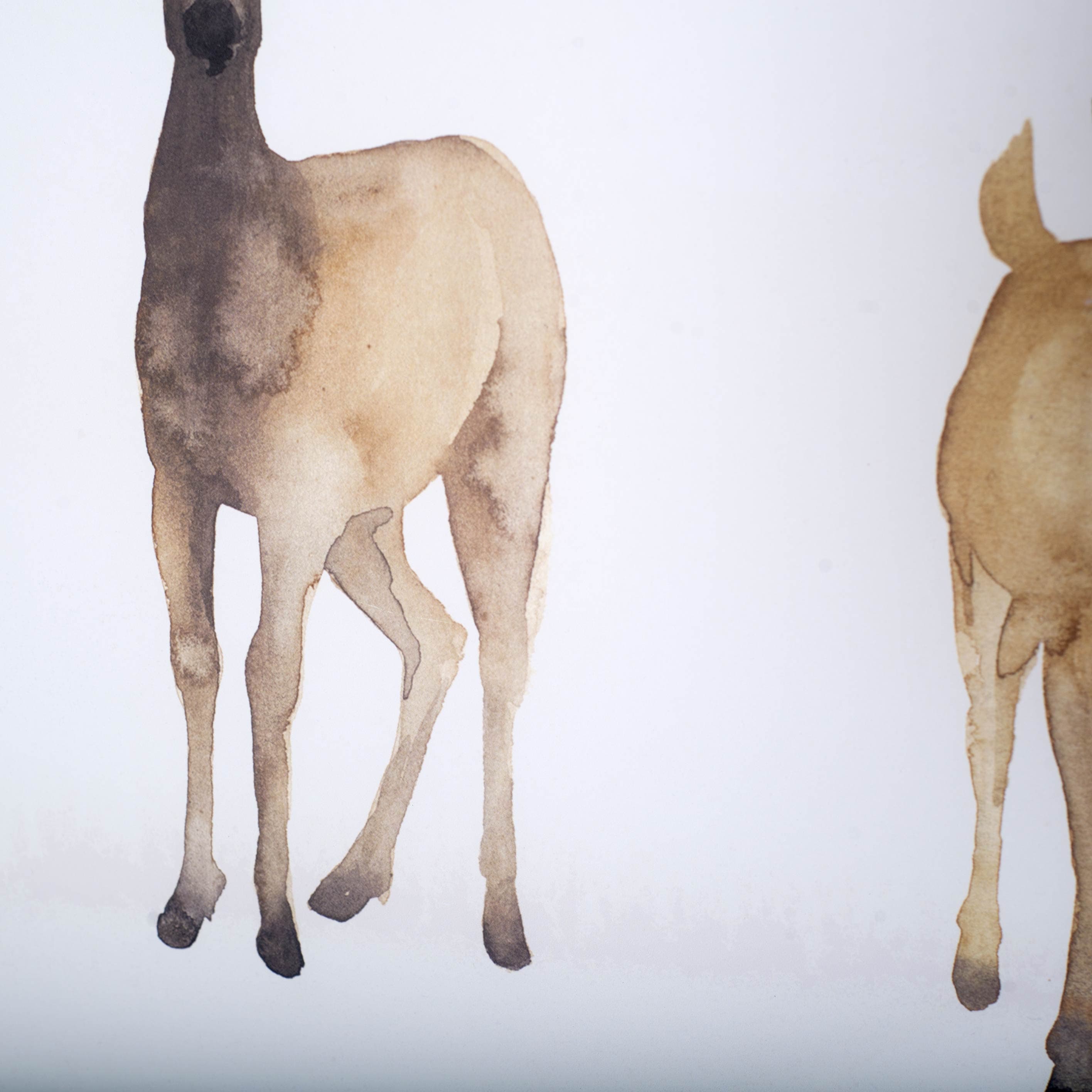 Deer Line I by Grace Popp a Framed Art Print Matted under Glass — product photograph
