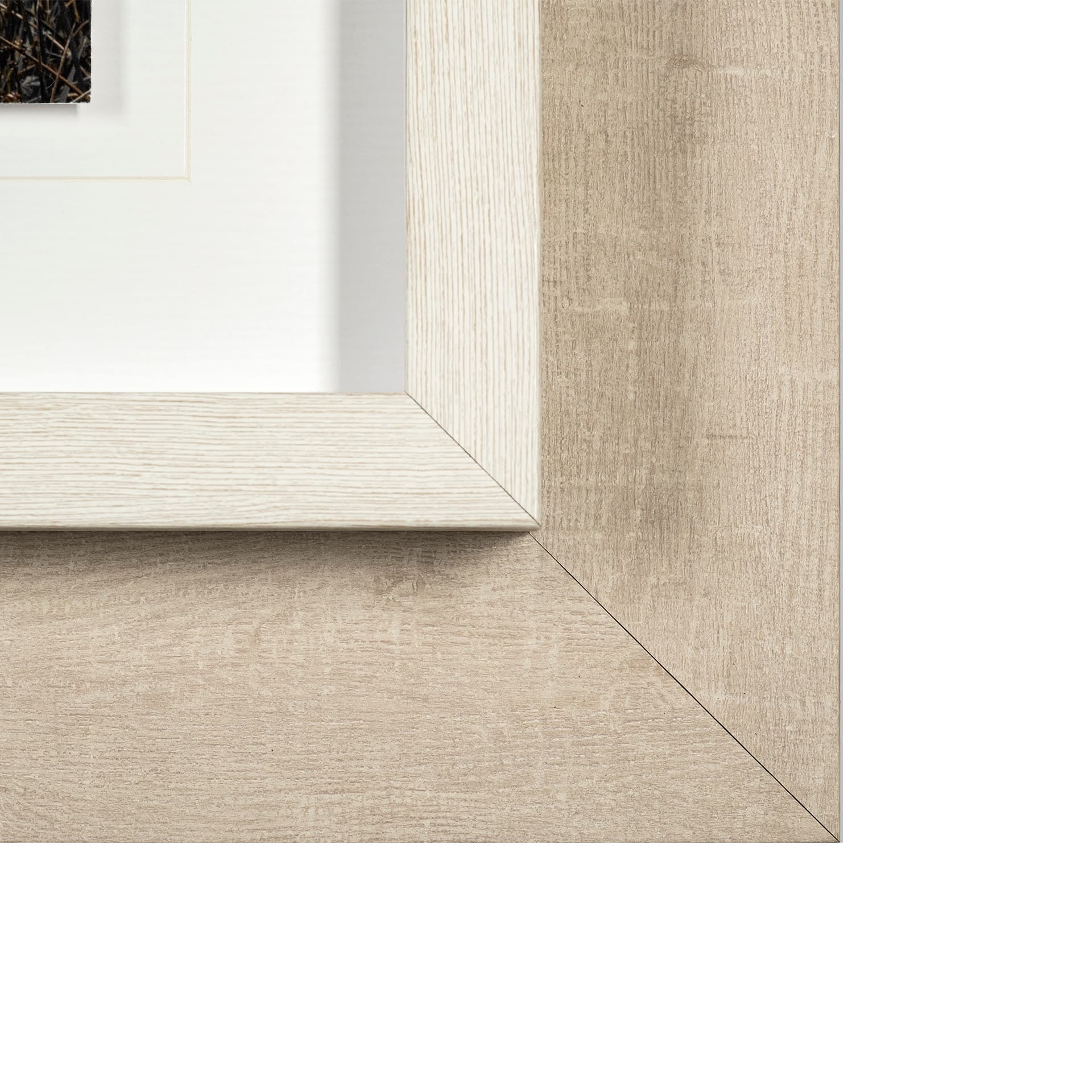 Humphry by Assaf Frank a Framed Photo Art Print Matted under Glass — product photograph