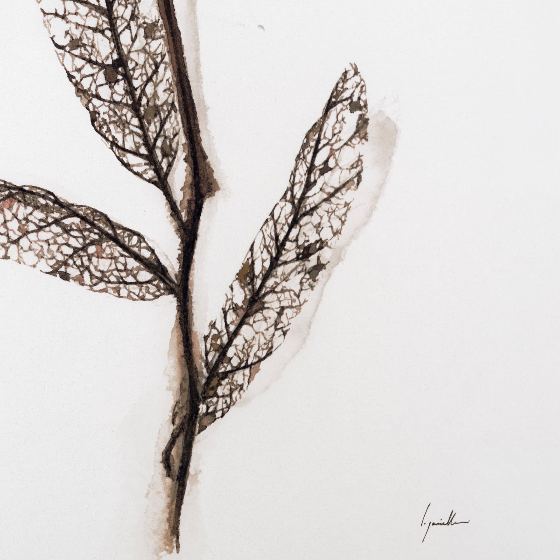 Olive Branch I by Gabrielle a Framed Art Print Matted under Glass — product photograph