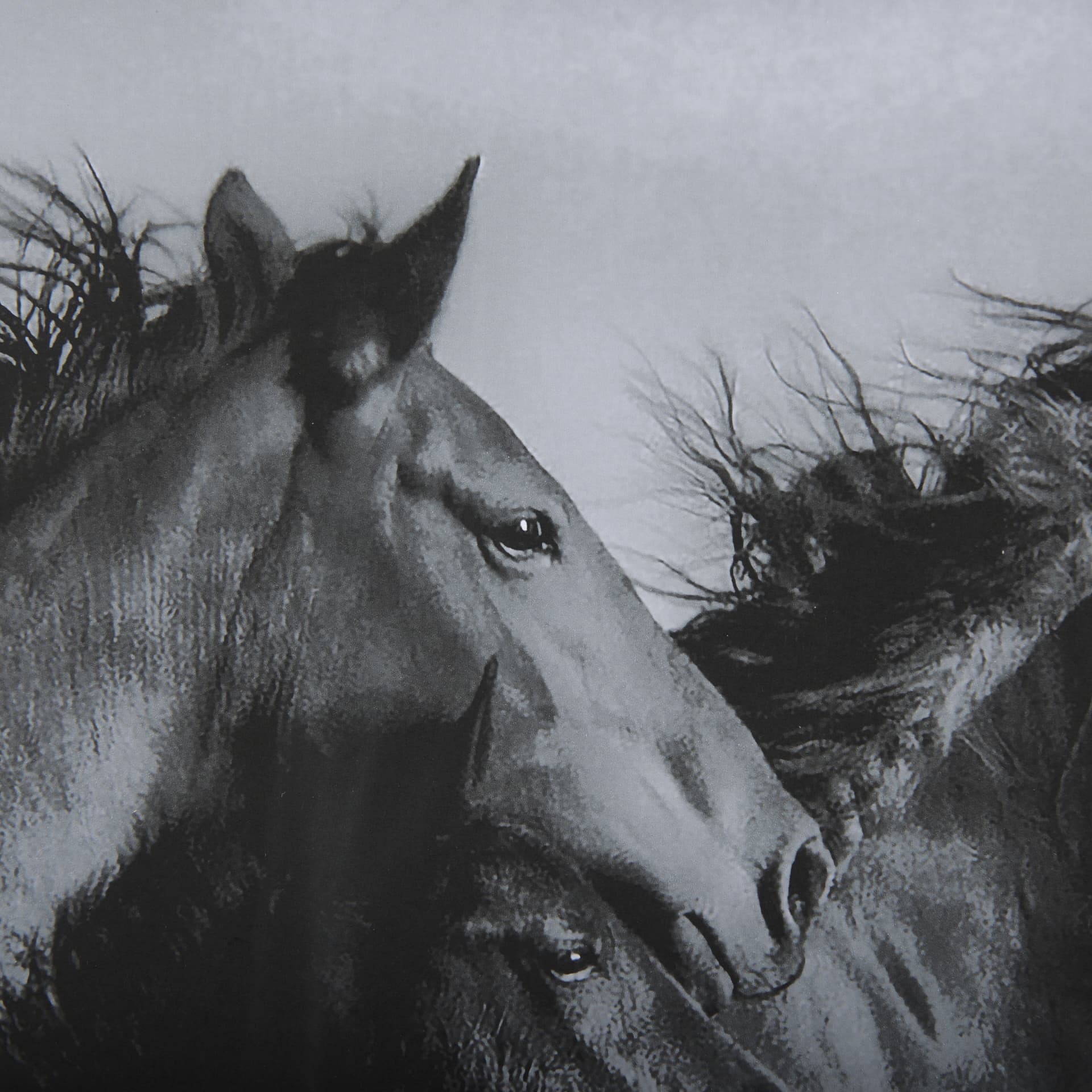 Focused by Mercana Studio a Hand Embellished Textured Framed Photo Art Print Matted under Glass — product photograph