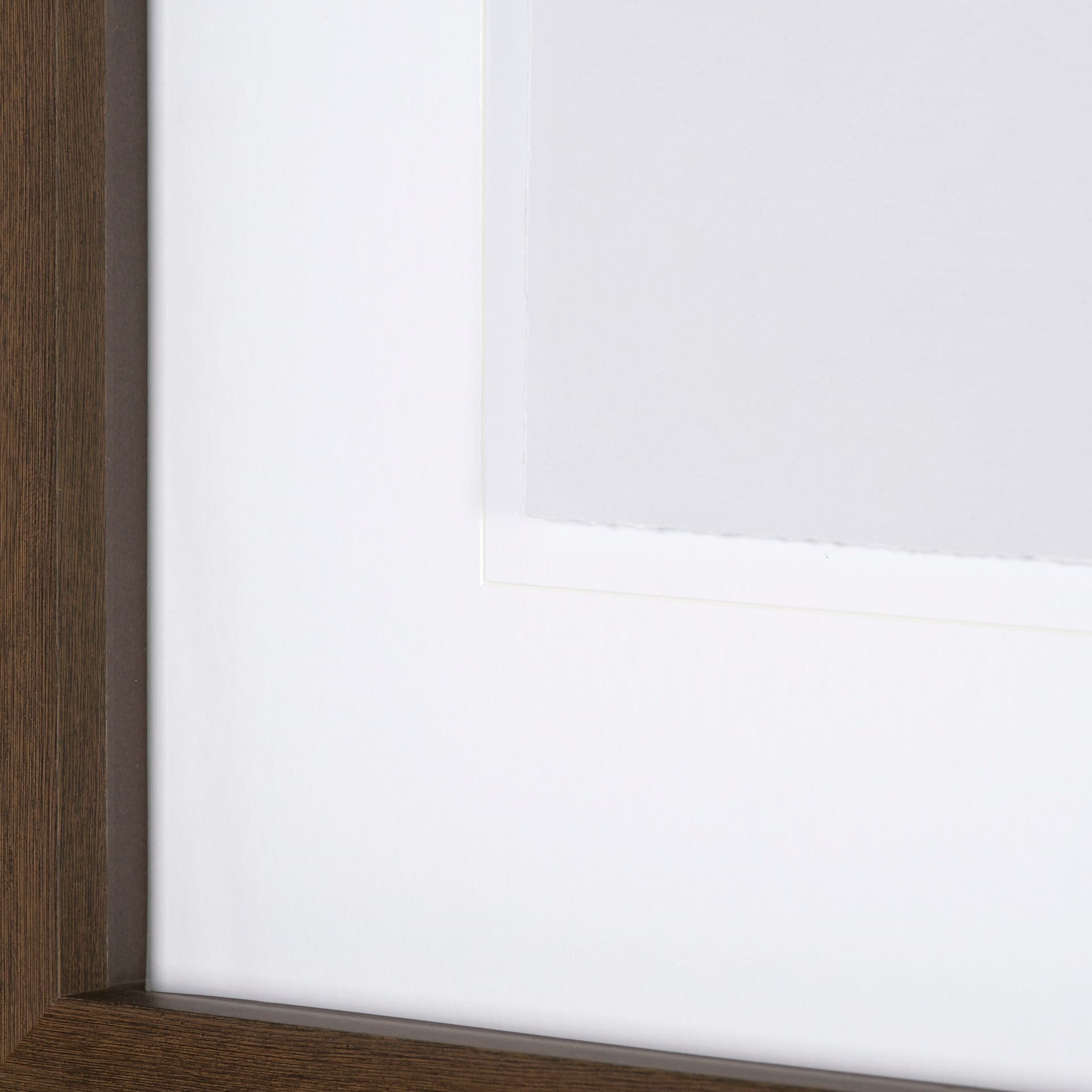 Olive Branch I by Gabrielle a Framed Art Print Matted under Glass — product photograph