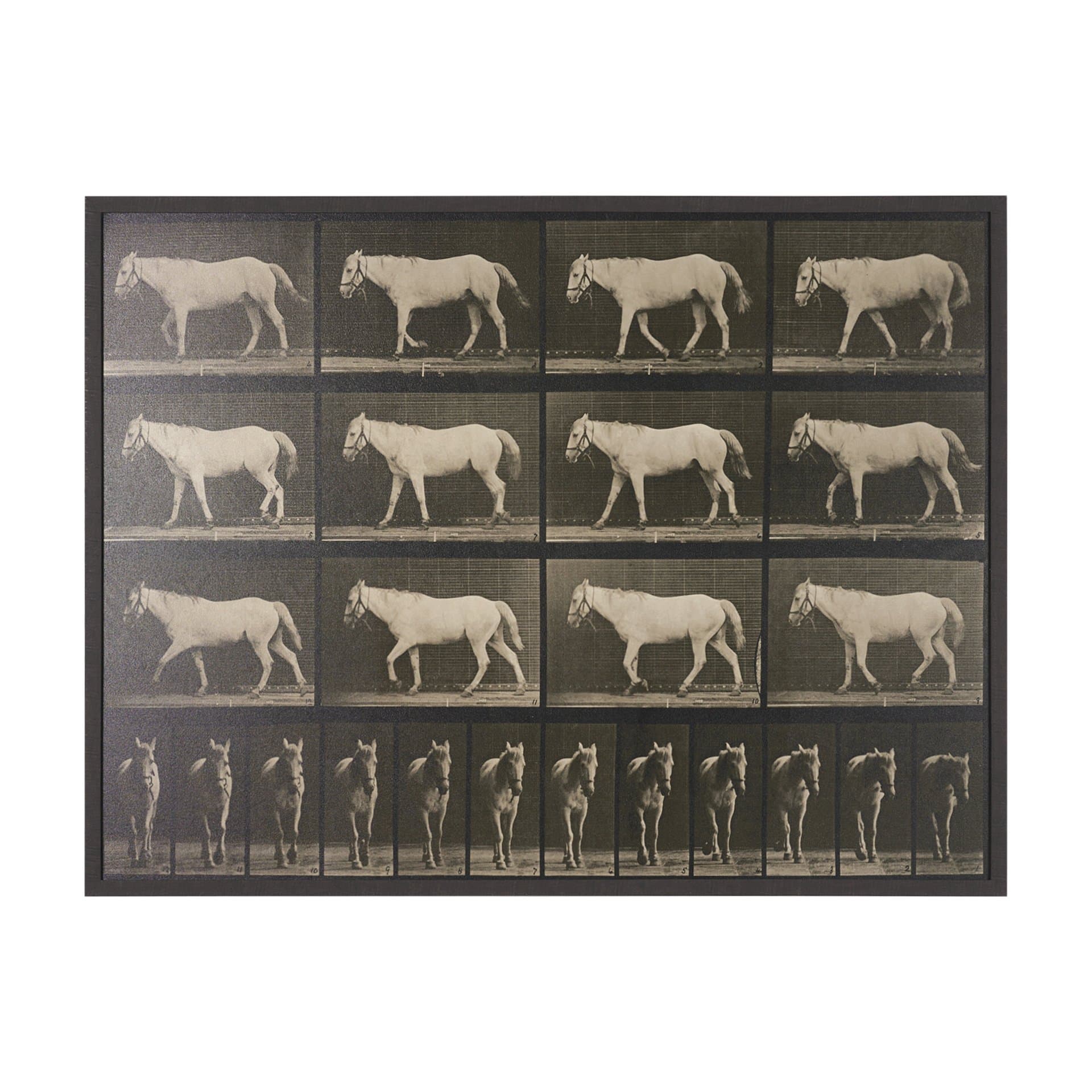 Walking Free by Eadweard Muybridge Textured Framed CanvasPhoto Print — product photograph