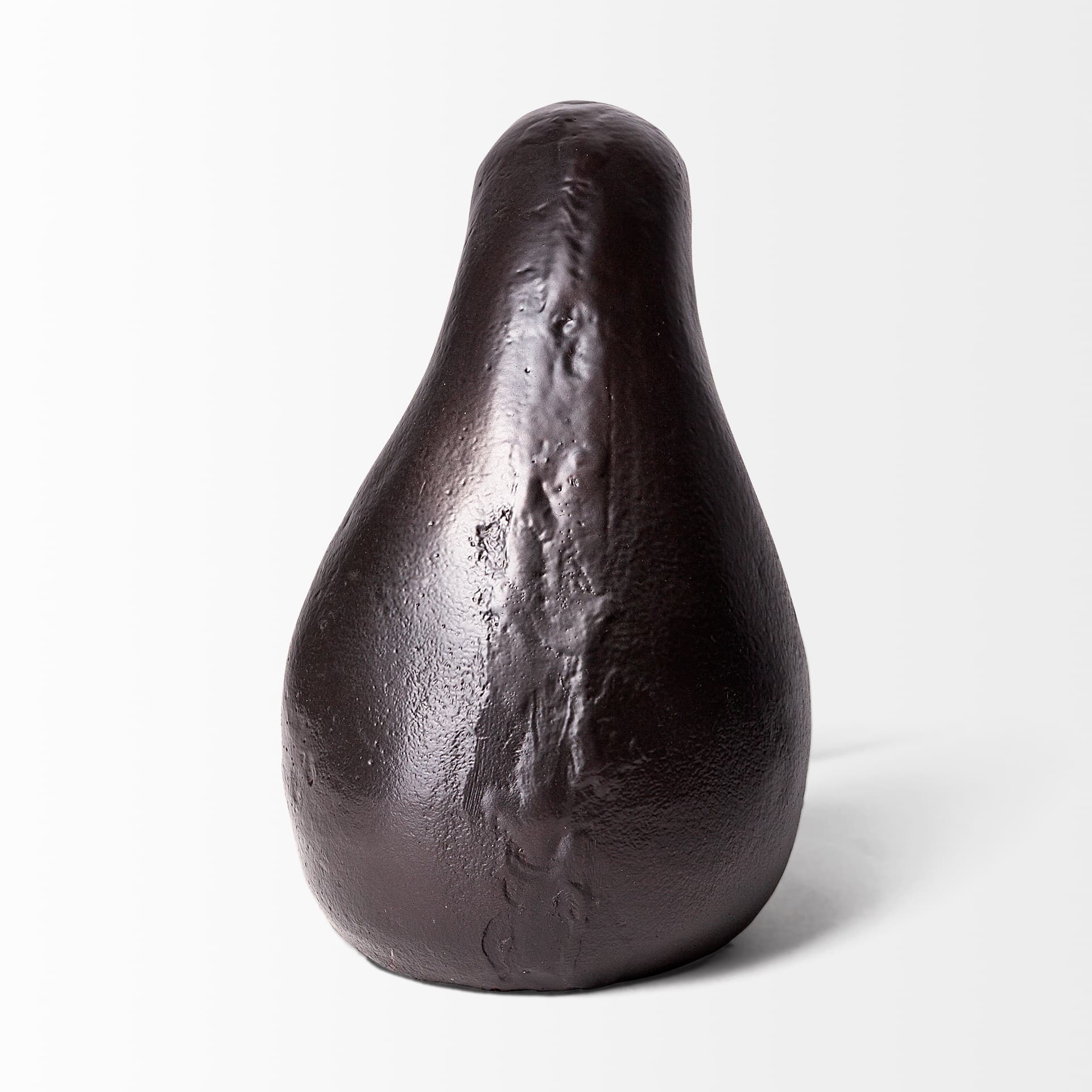 Dodo Kiwi 7L x 4W Black Cast Aluminum Mauritian Bird Sculpture — product photograph