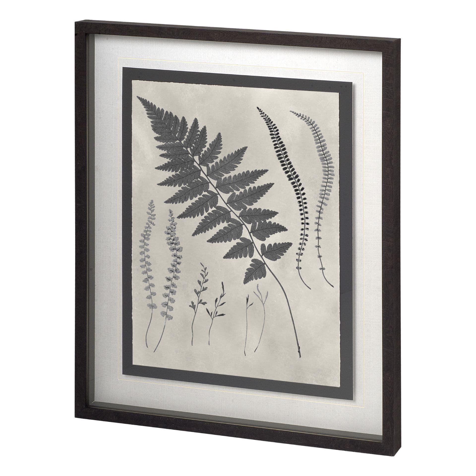 Vintage Fern Study by Mercana Studio a Hand Embellished Textured Framed Art Print Matted under Glass — product photograph