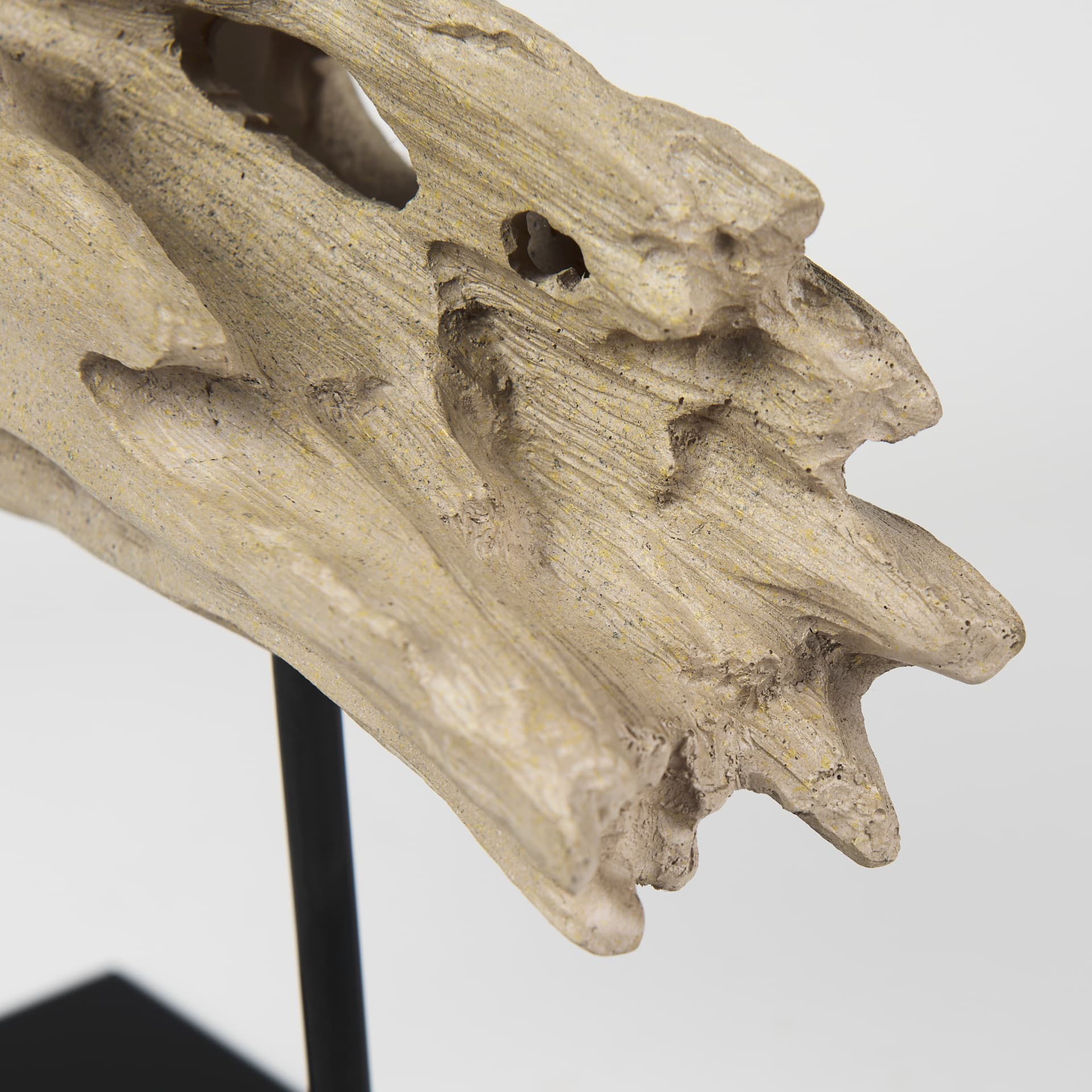 Dwell Cholla Wood Resin Decorative Object — product photograph