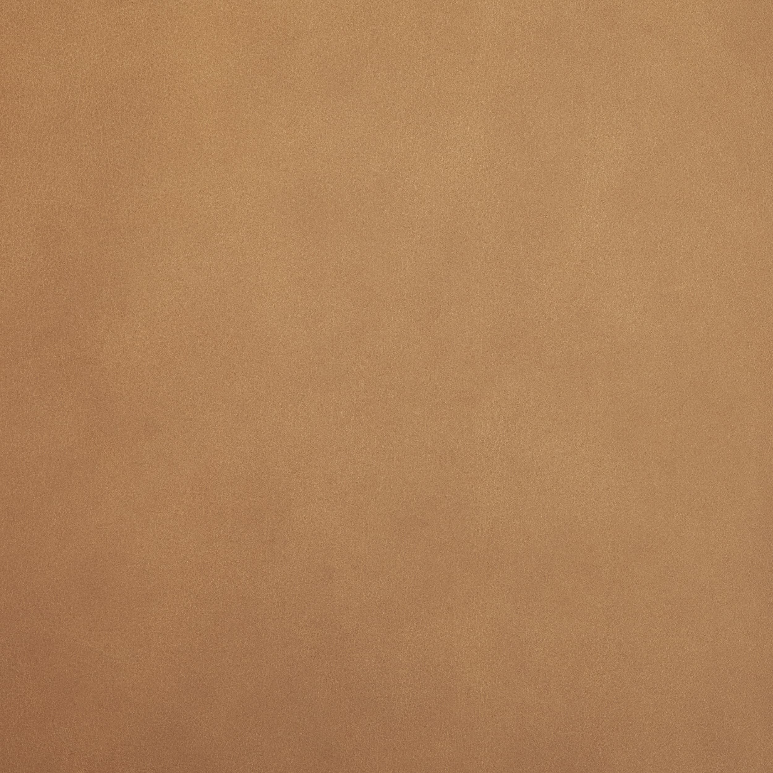 Abbie Curved Back Dining Side Chair | Tan Leather w/ Brown Wood — product photograph